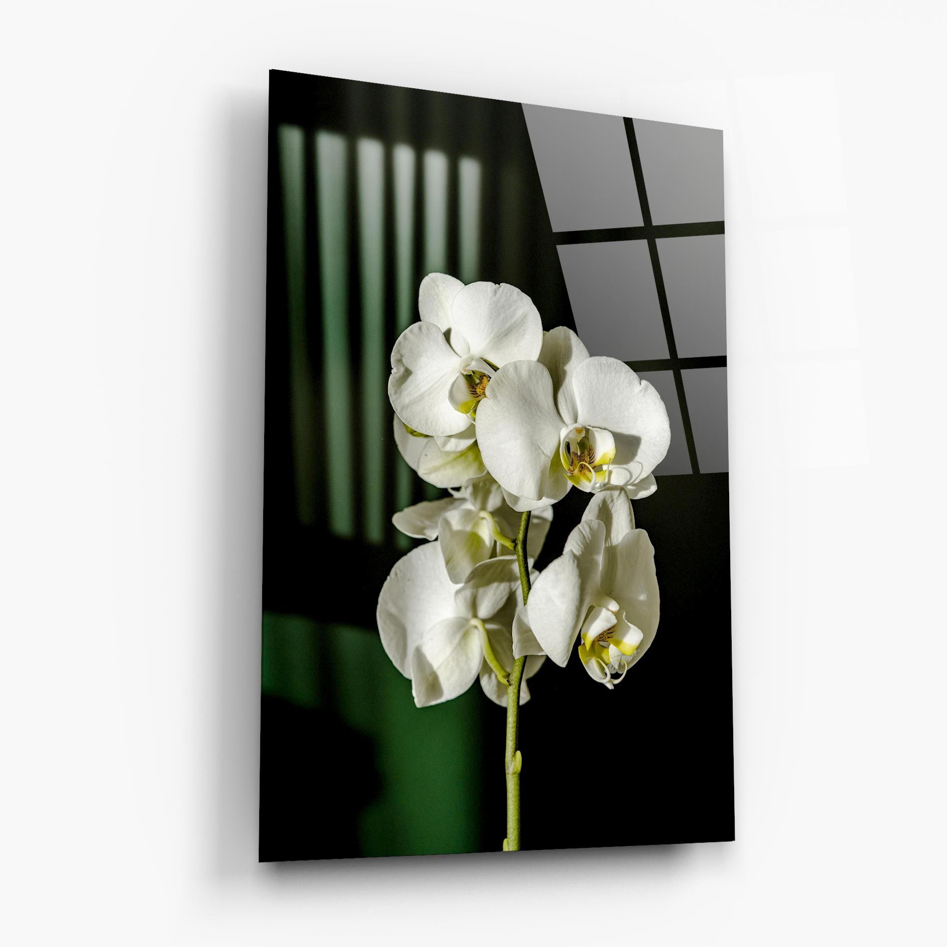 Orchid On Green mockup 6