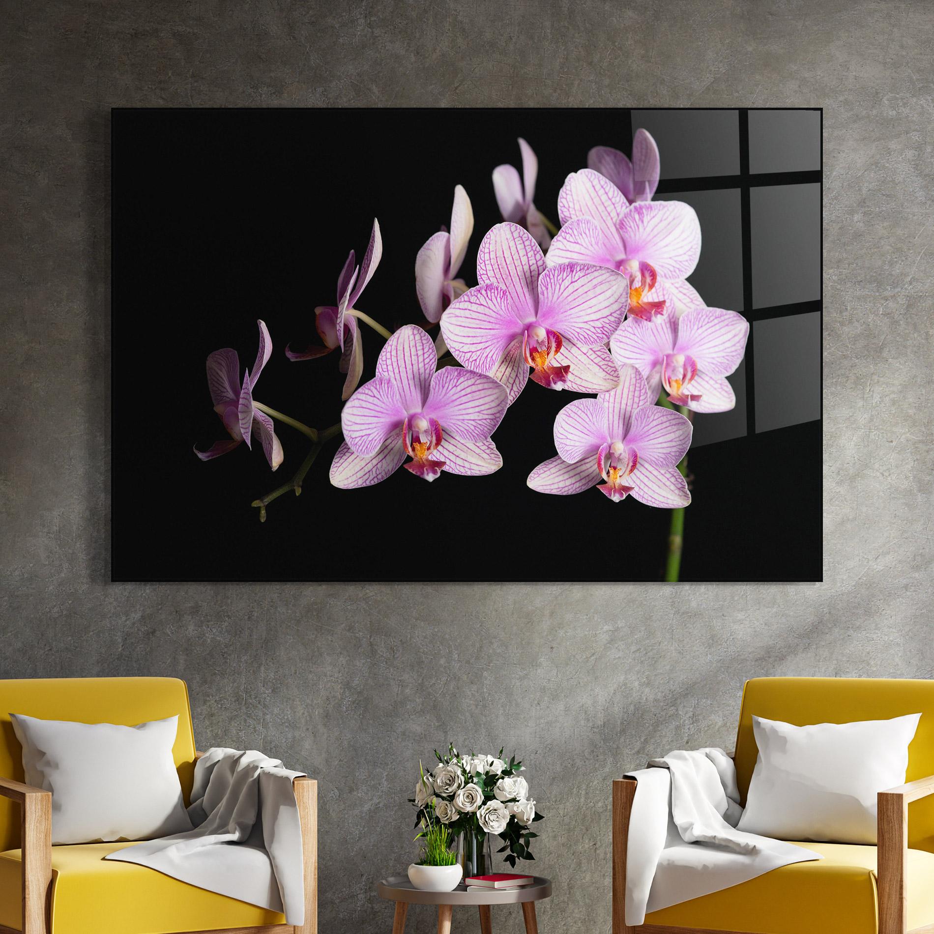 Üvegkép Beautiful Orchids On Black mockup 4