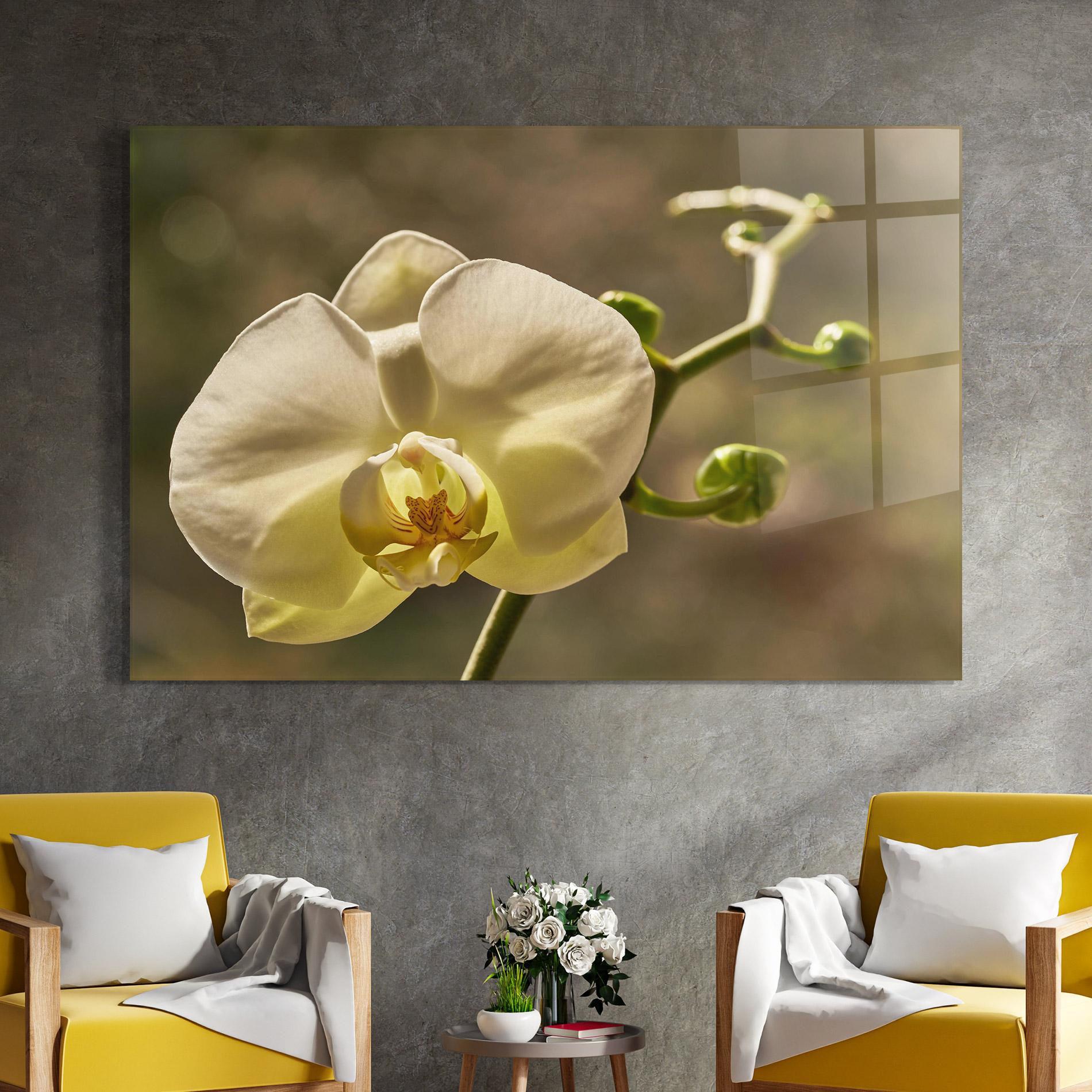 Üvegkép Pastel Yellow Orchid In Garden mockup 4