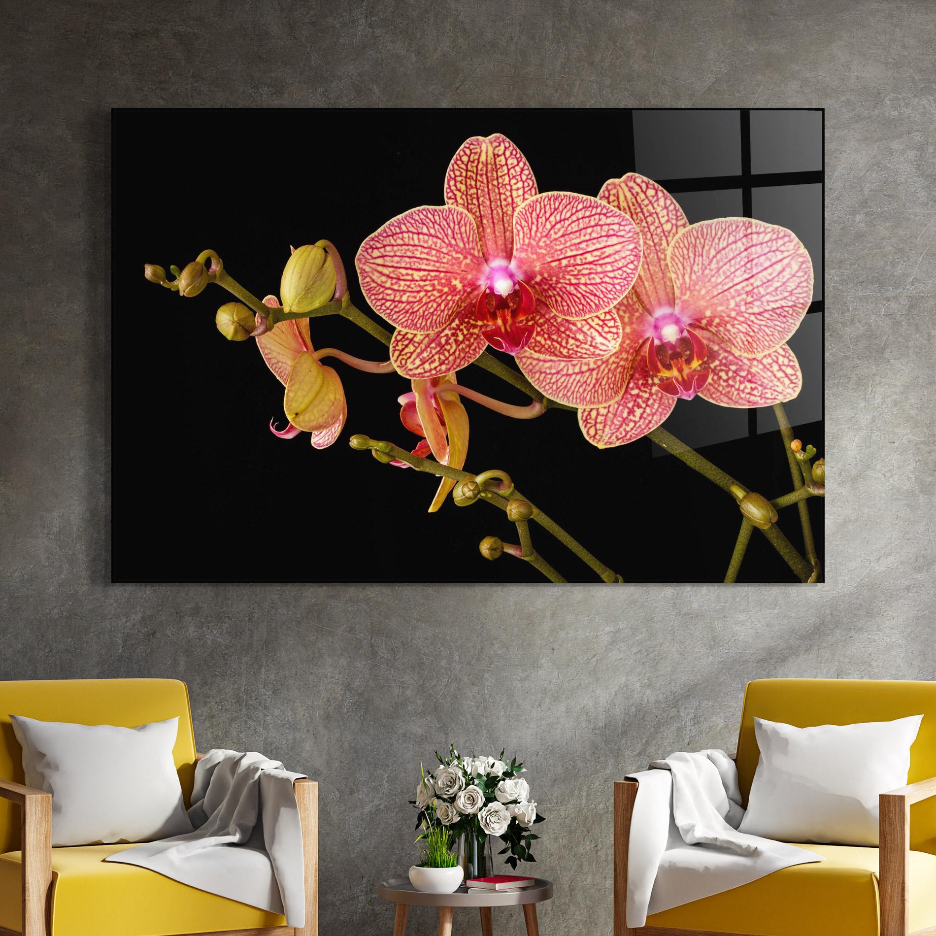 Üvegkép Pink Orchids On Black mockup 4