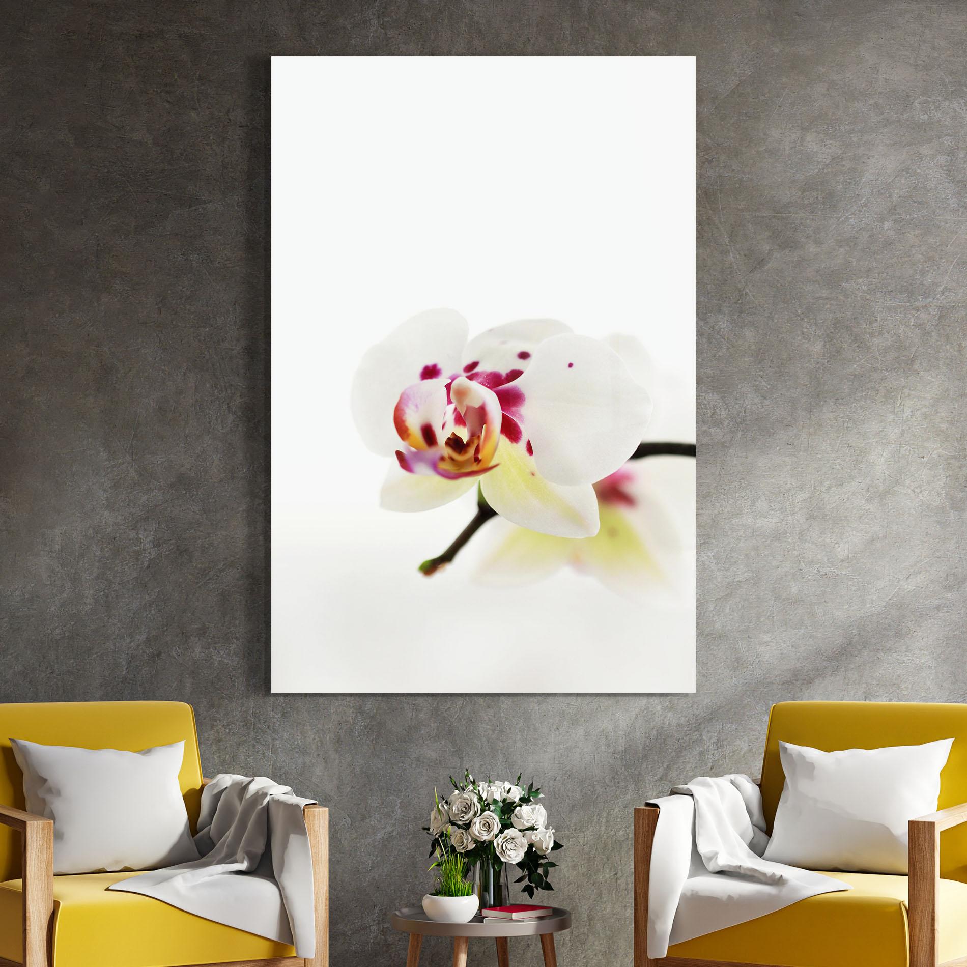 Üvegkép Clean White Orchid mockup 4