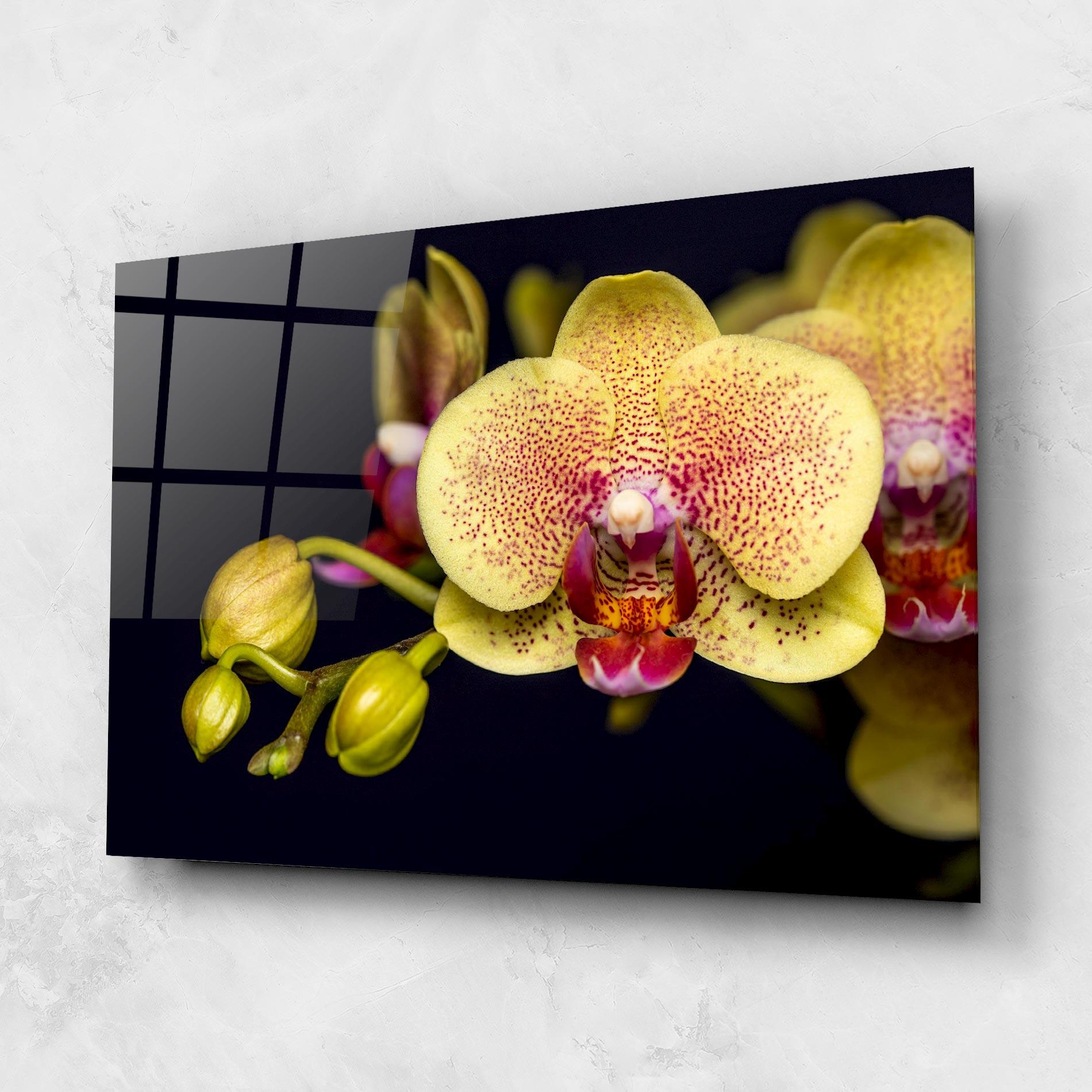 Üvegkép Baby Orchid mockup 1