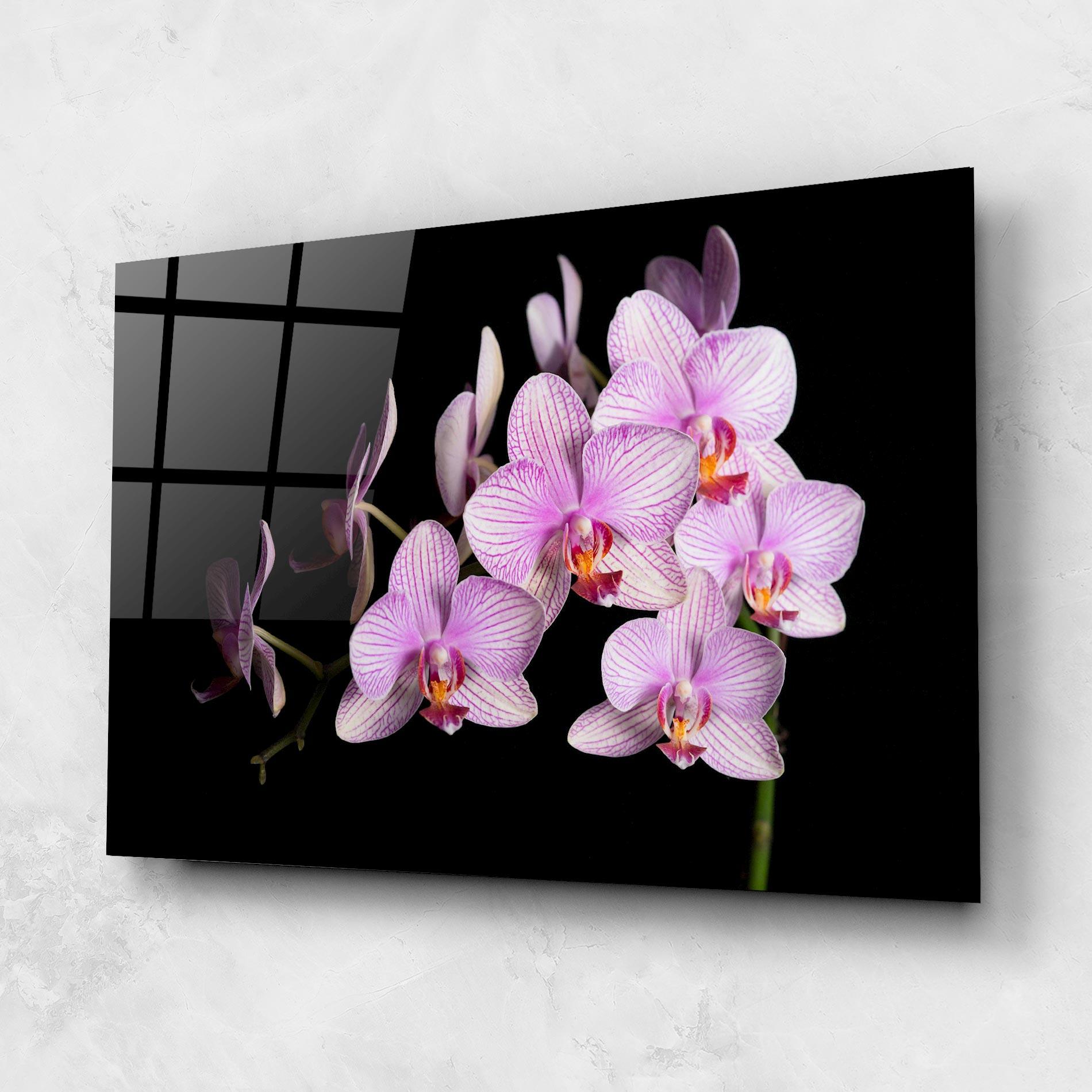 Üvegkép Beautiful Orchids On Black mockup 1