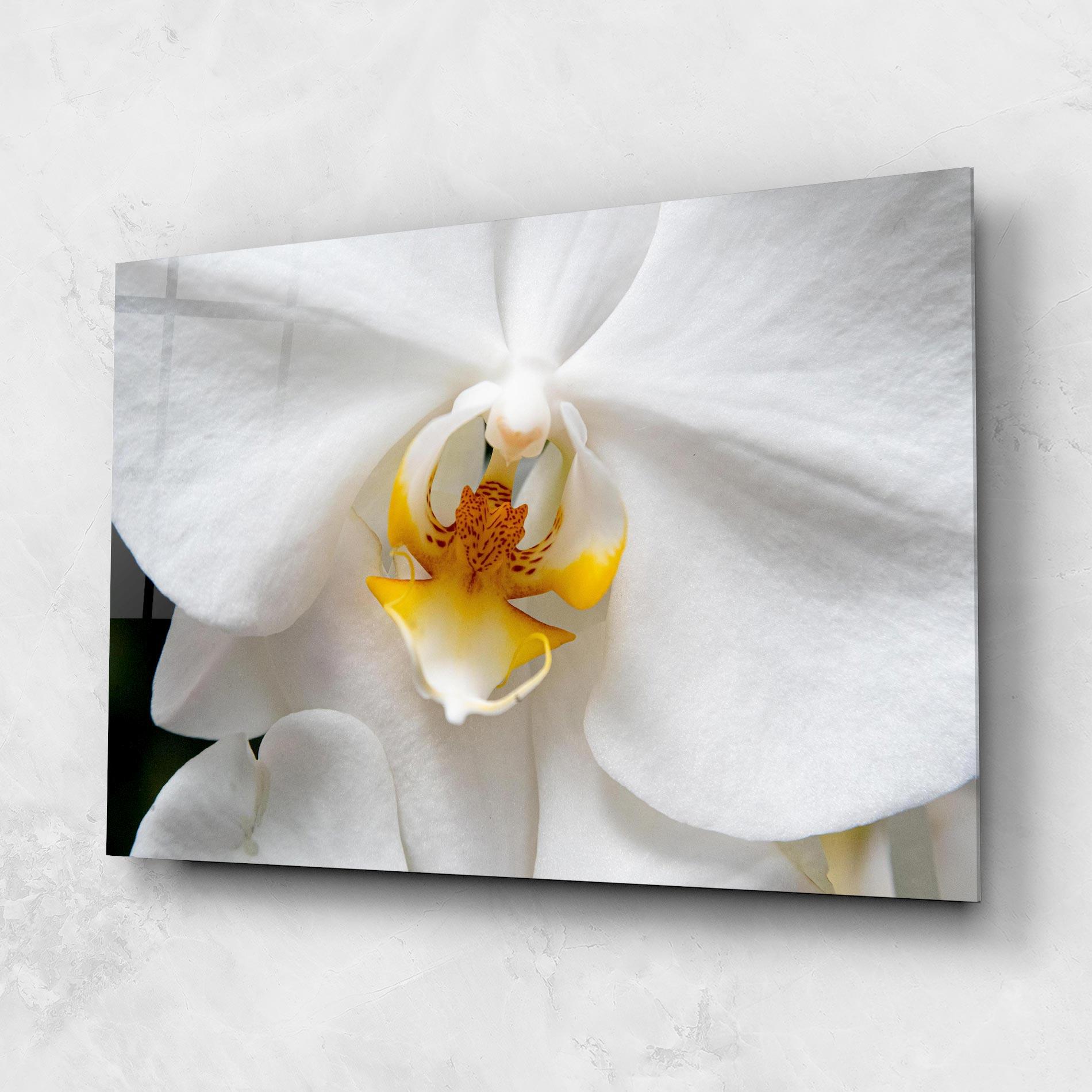 Üvegkép Big Orchid Close Up mockup 1