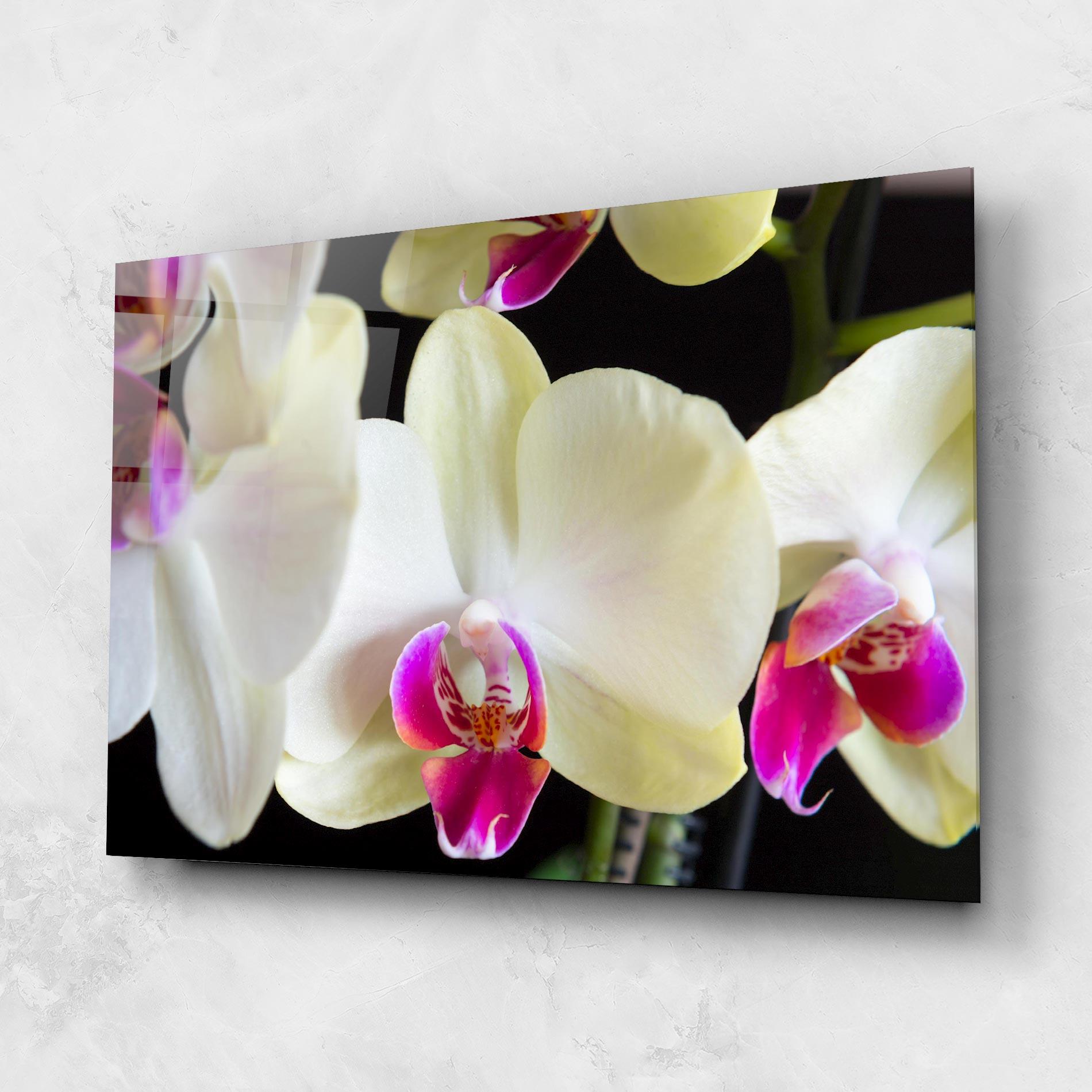 Üvegkép Cream Purple Orchids mockup 1