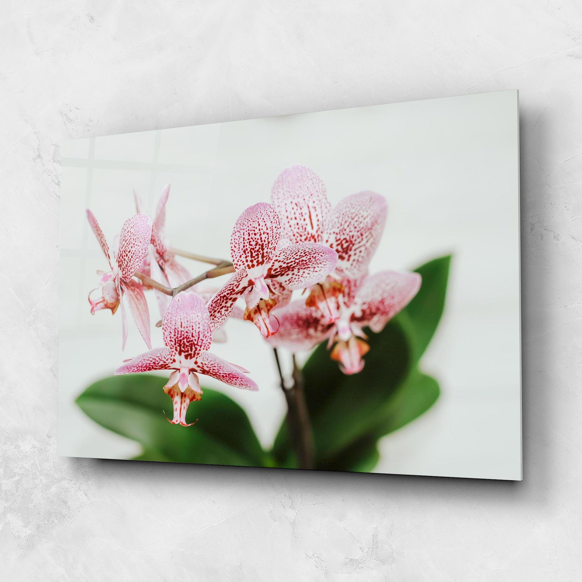 Üvegkép Green Orchids mockup 1
