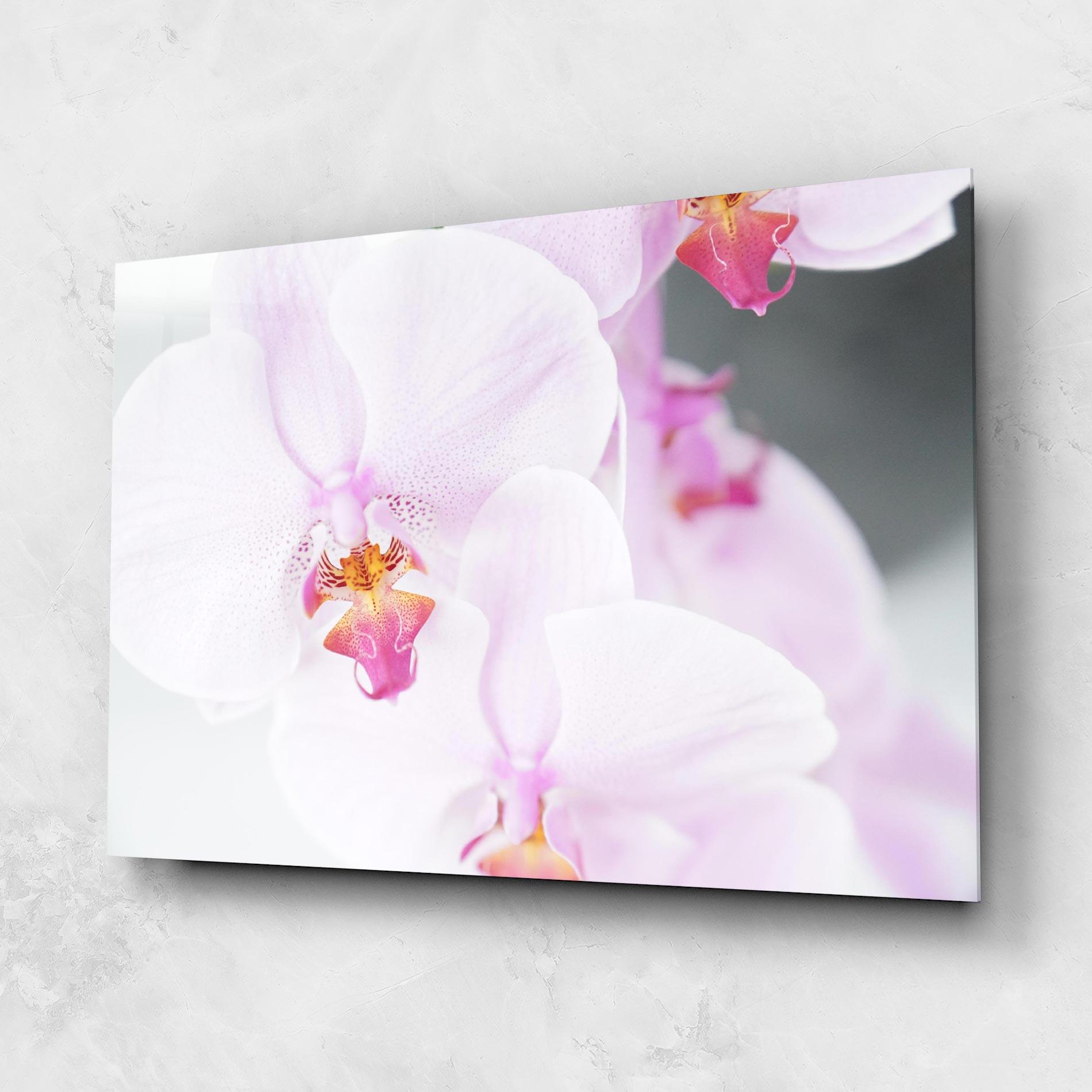 Üvegkép Light Purple Orchid mockup 1