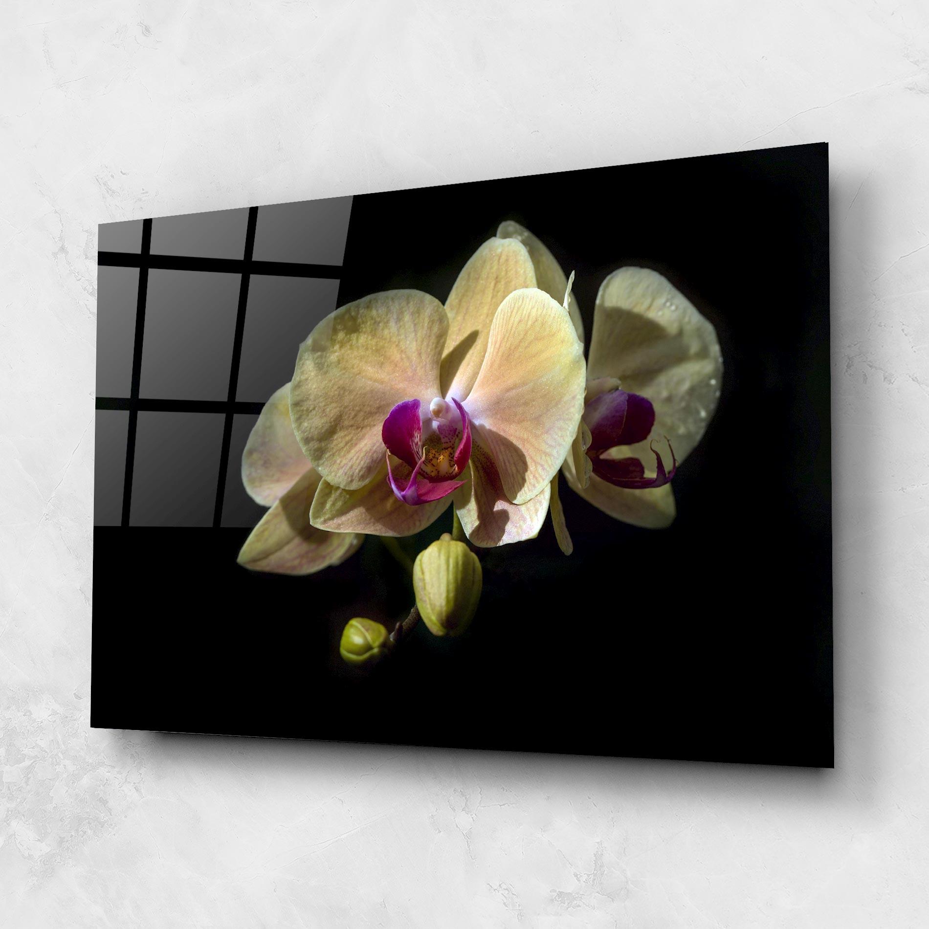 Üvegkép Pastel Yellow Orchids mockup 1