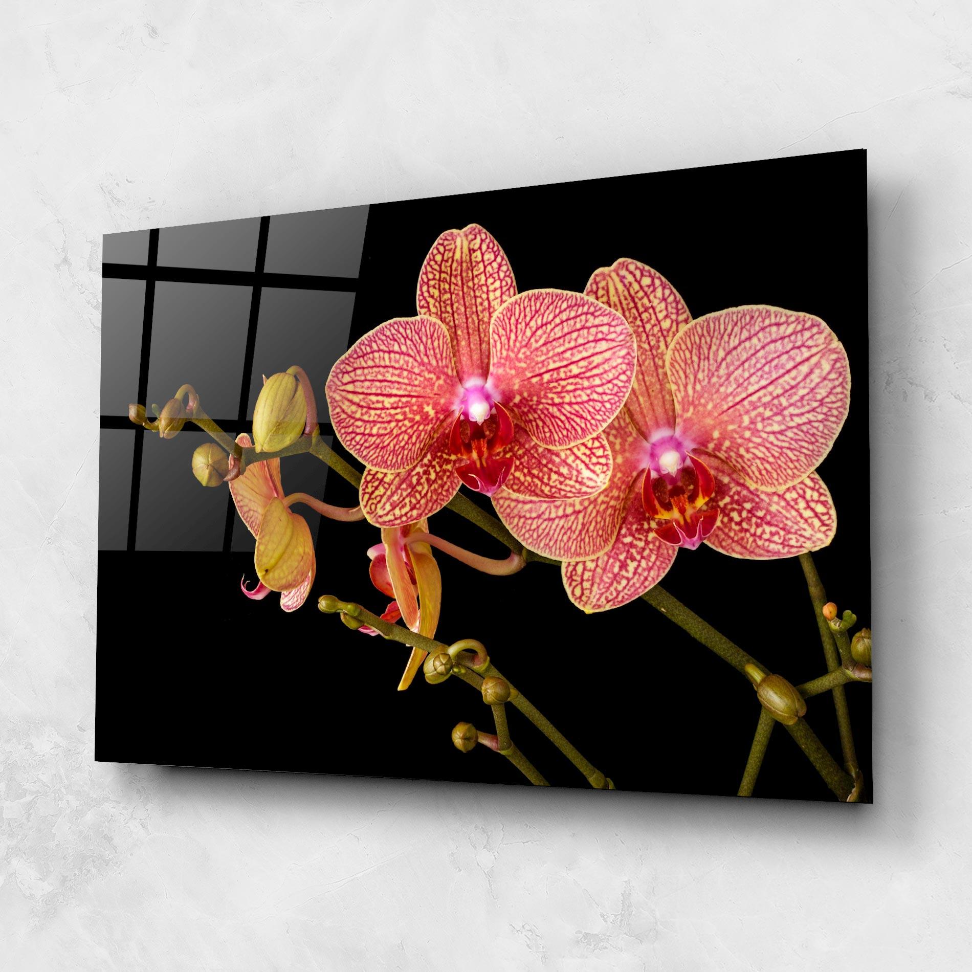 Üvegkép Pink Orchids On Black mockup 1