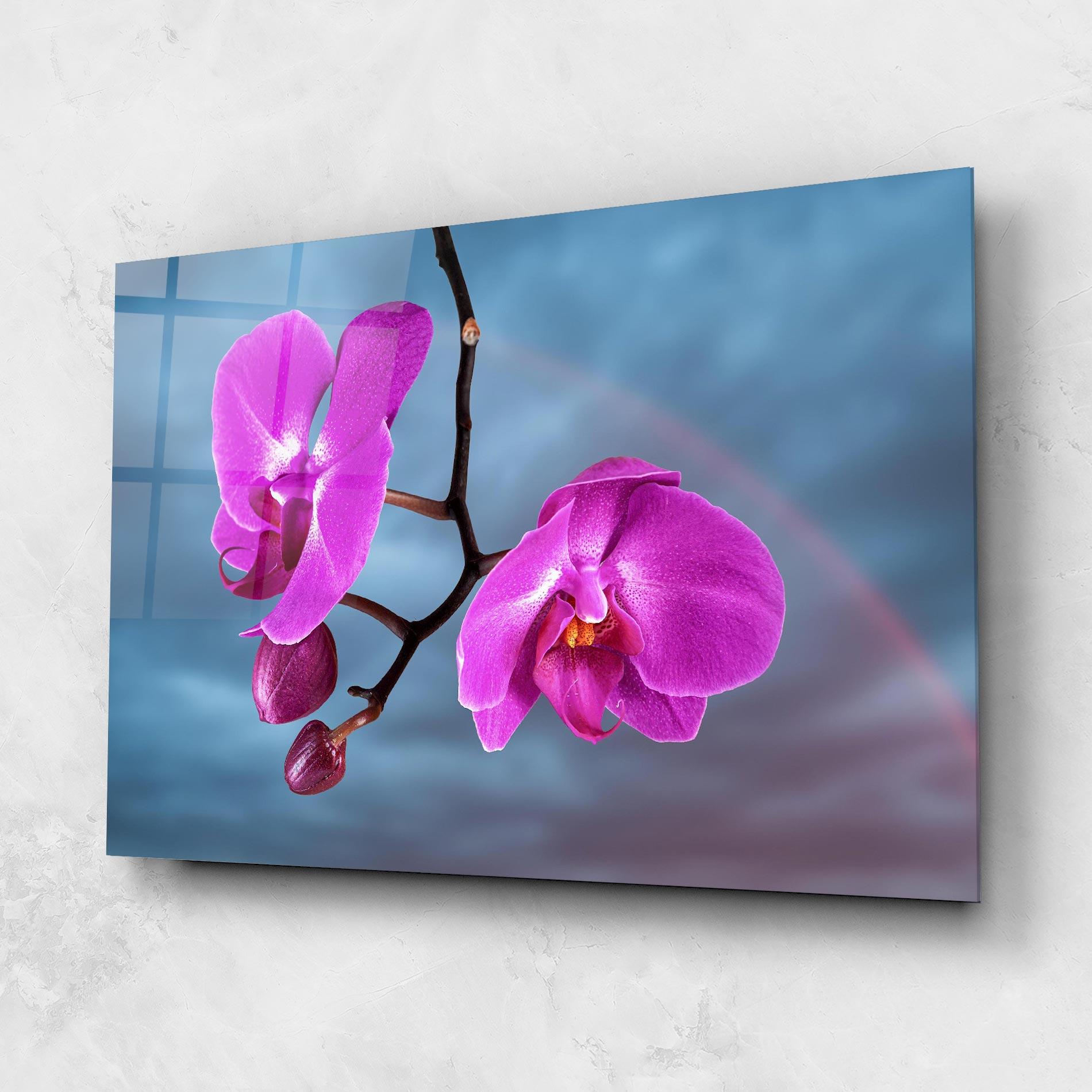 Üvegkép Sky Purple Orchid mockup 1
