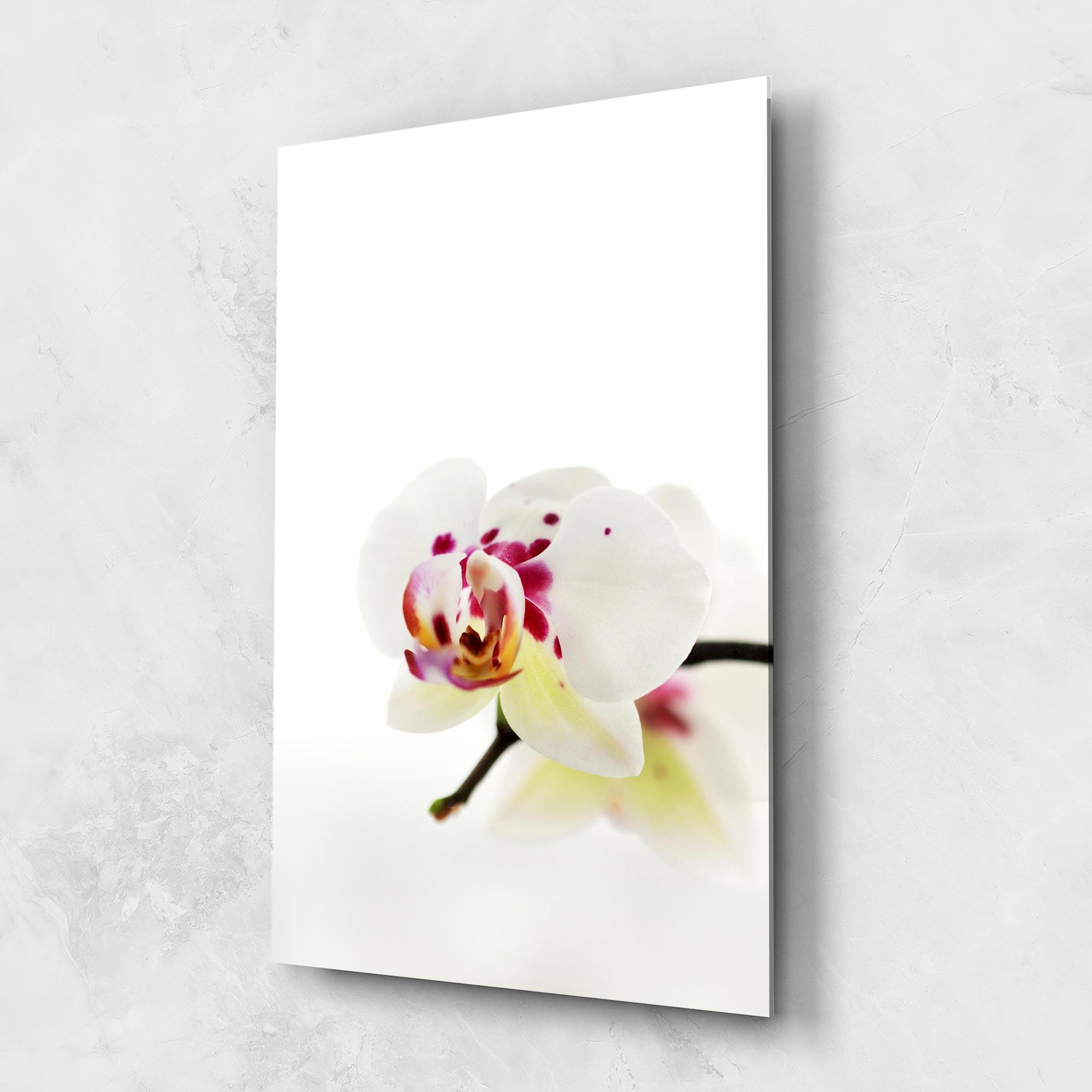 Üvegkép Clean White Orchid mockup 1