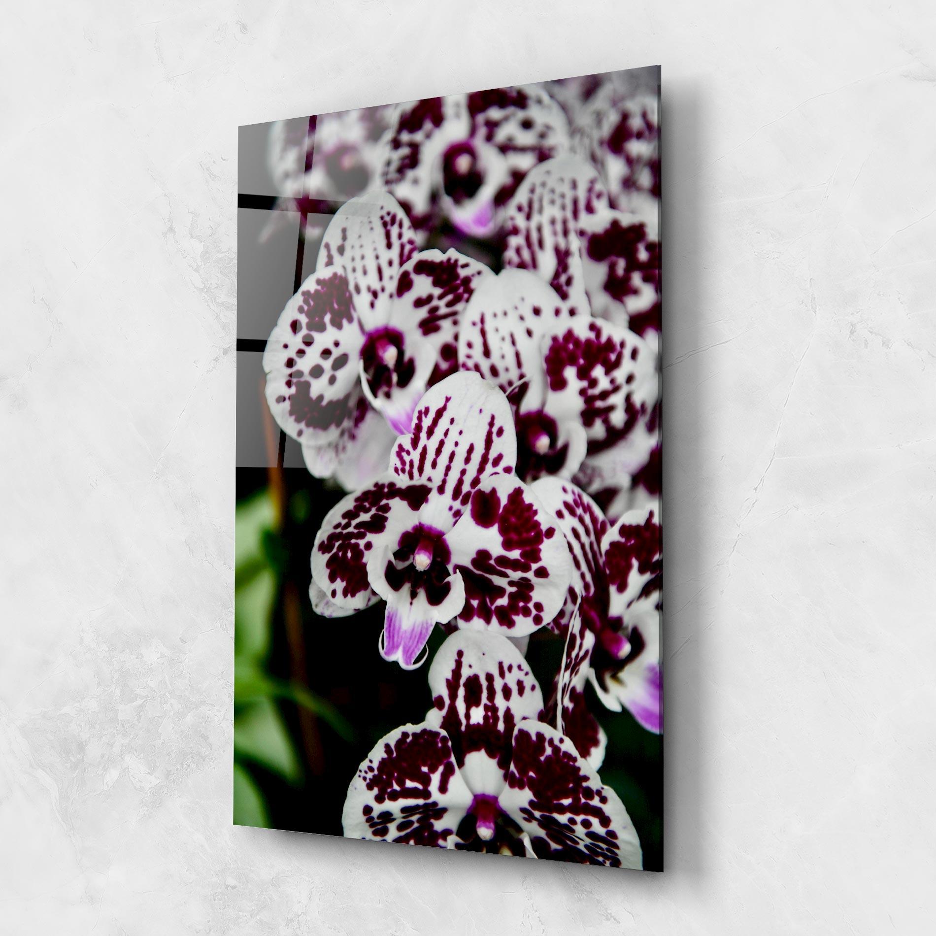 Üvegkép Dark Purple Orchids mockup 1