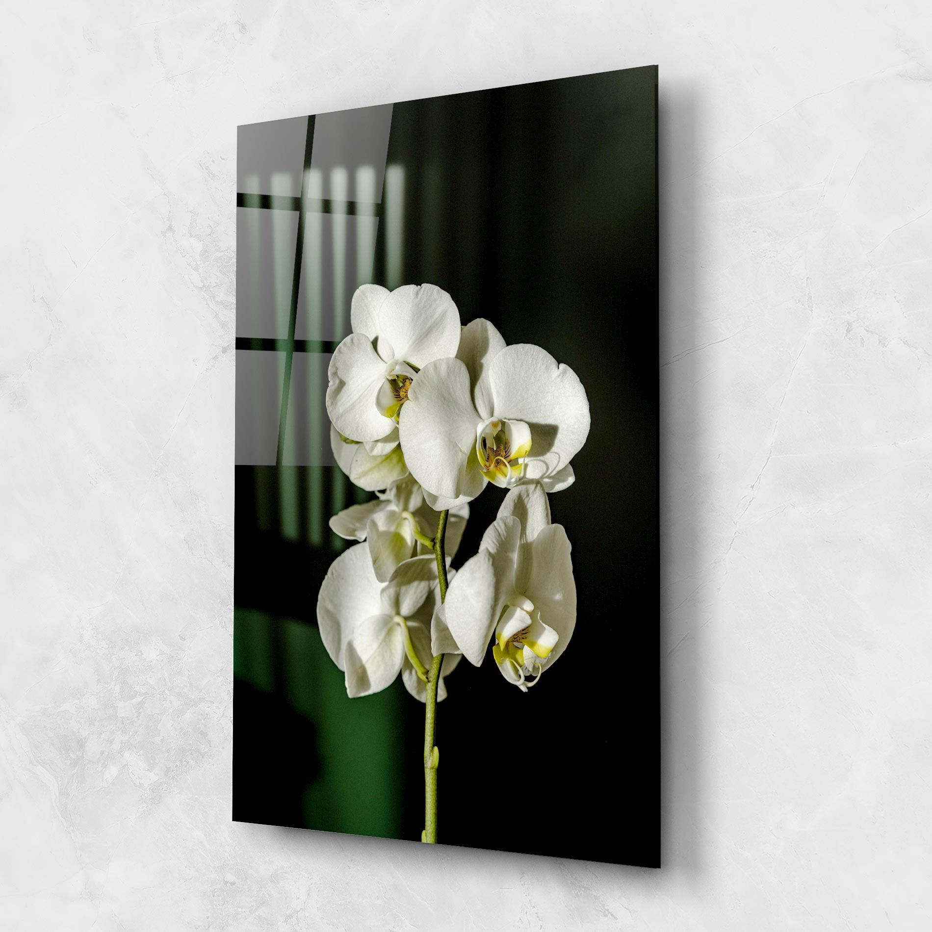 Üvegkép Orchid On Green mockup 1