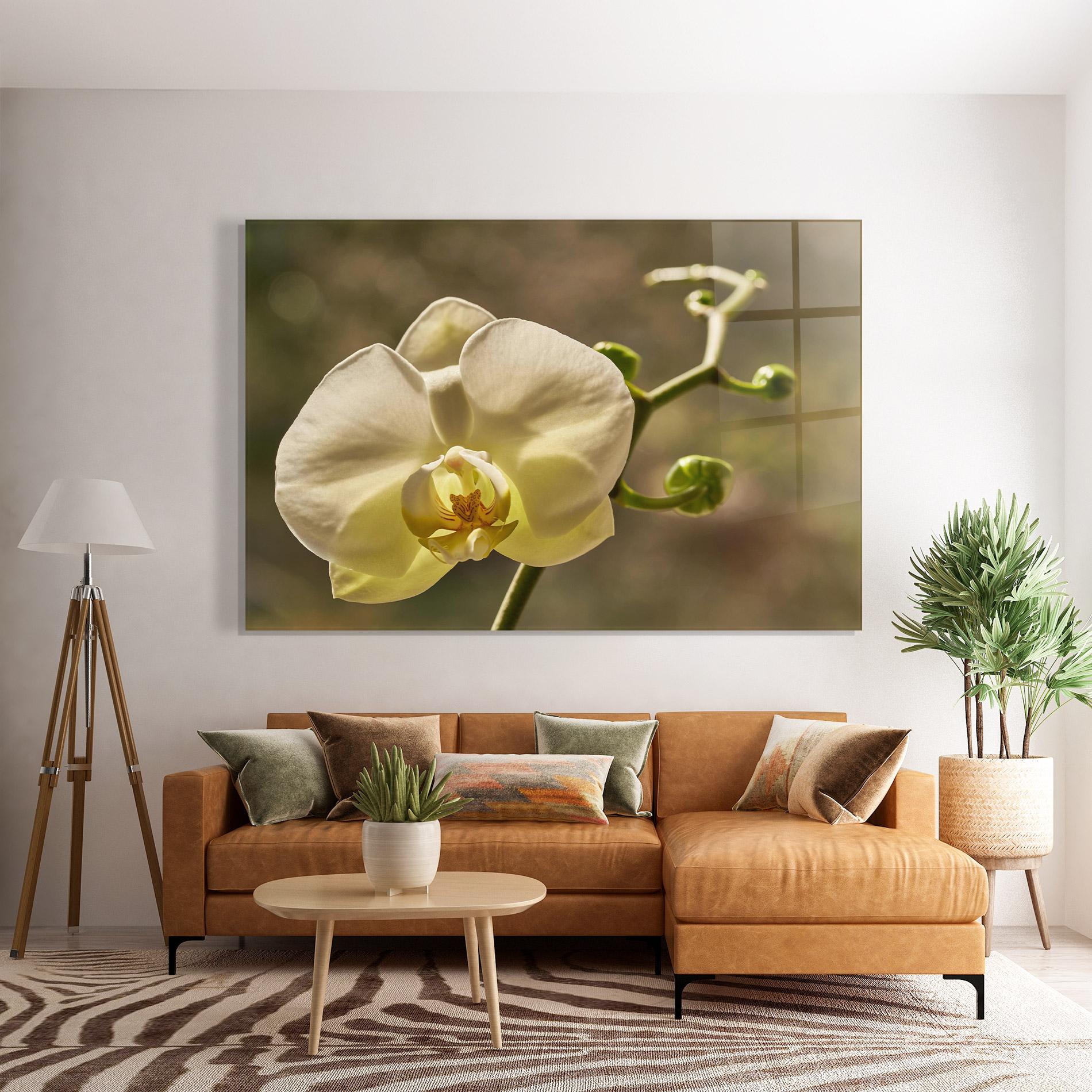 Üvegkép Pastel Yellow Orchid In Garden mockup 7