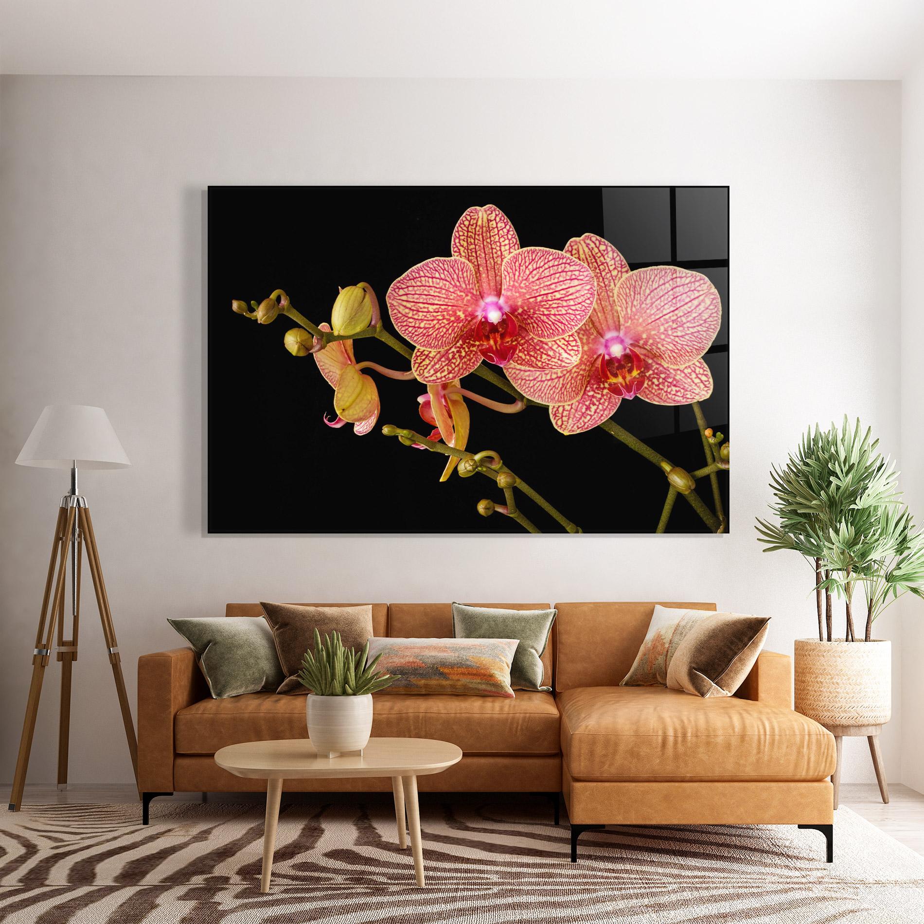 Üvegkép Pink Orchids On Black mockup 7