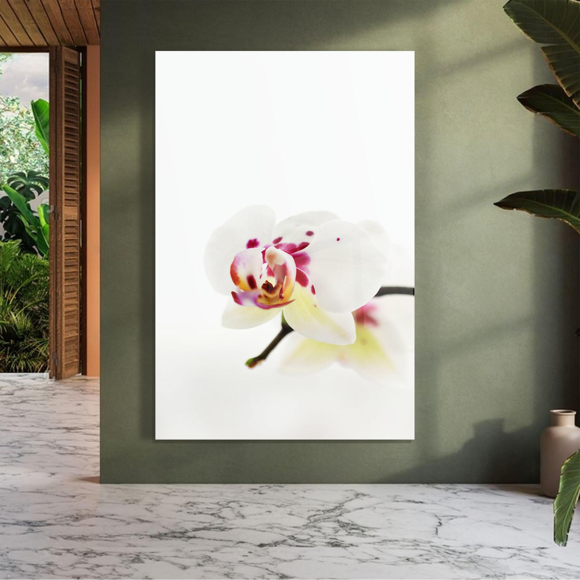 Üvegkép Clean White Orchid mockup 7