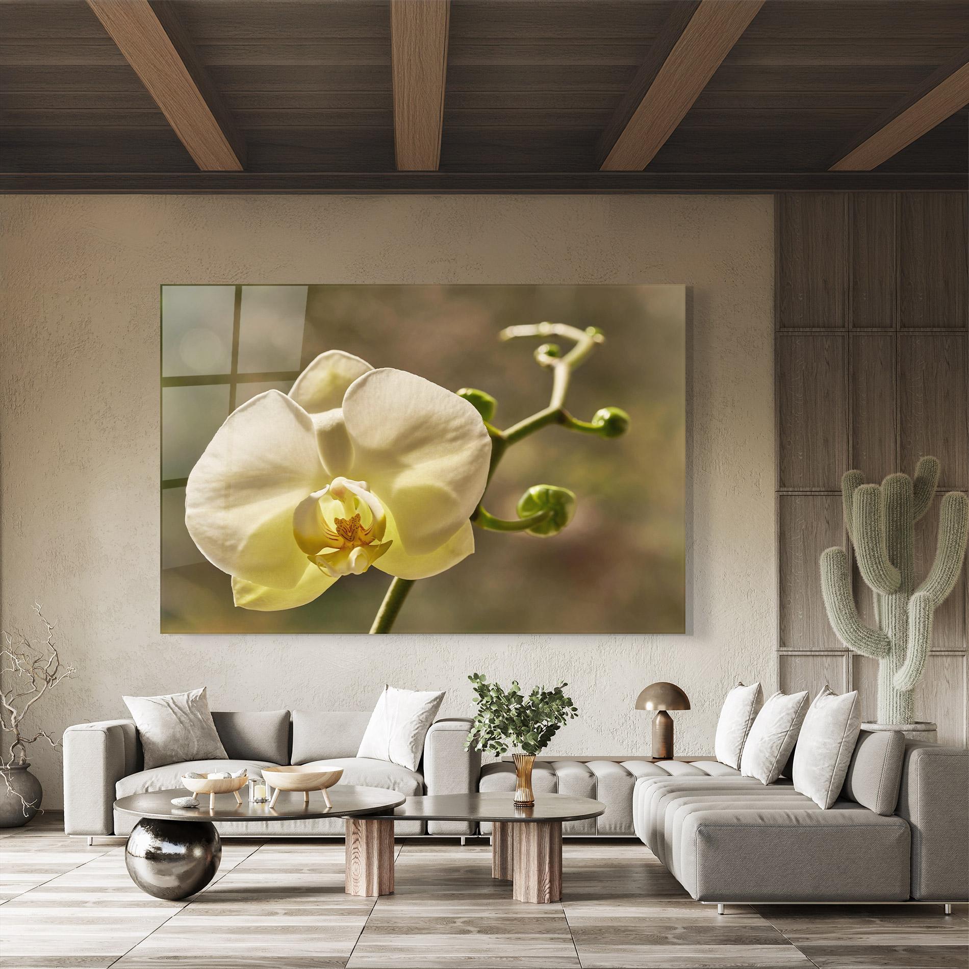 Üvegkép Pastel Yellow Orchid In Garden mockup 8