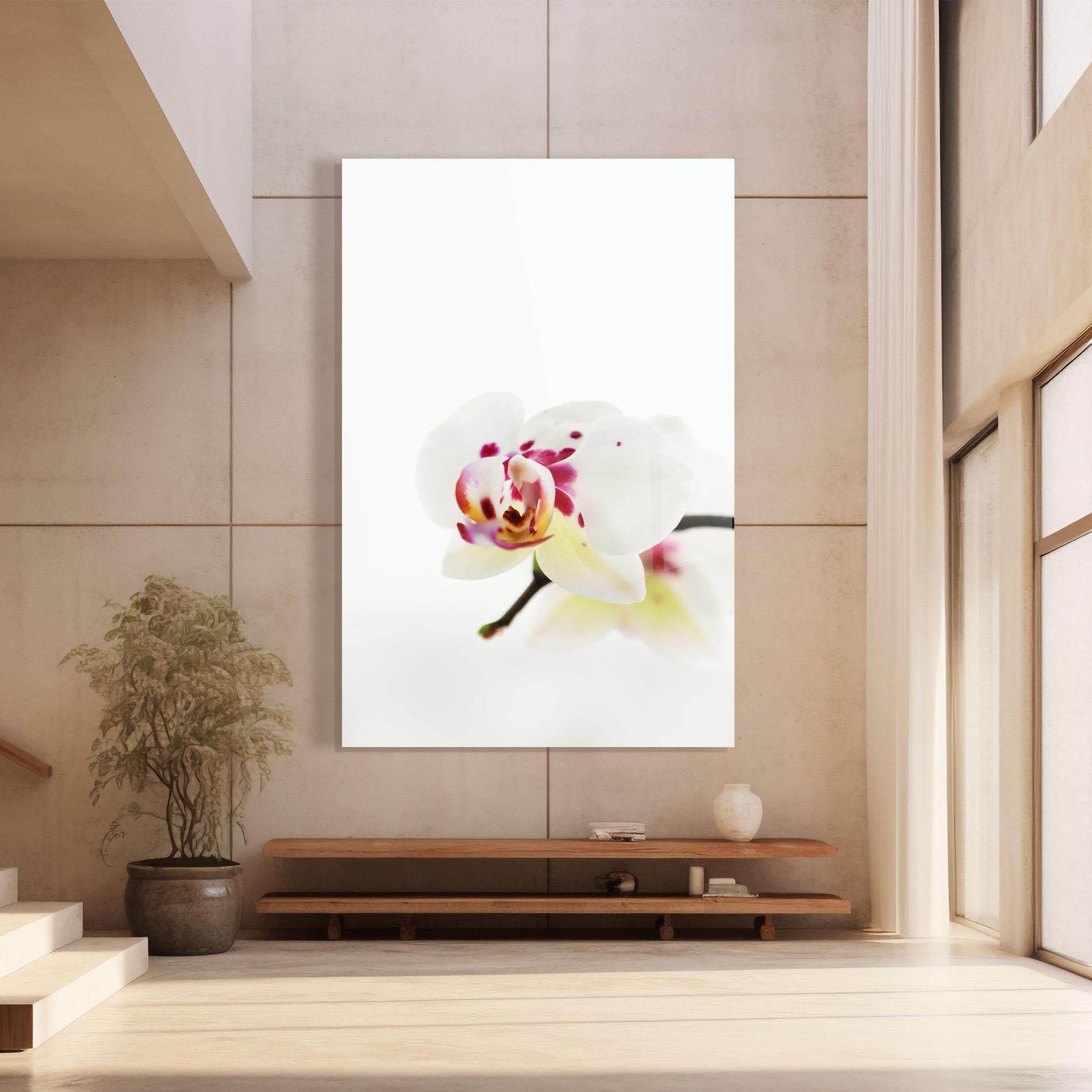 Üvegkép Clean White Orchid mockup 8