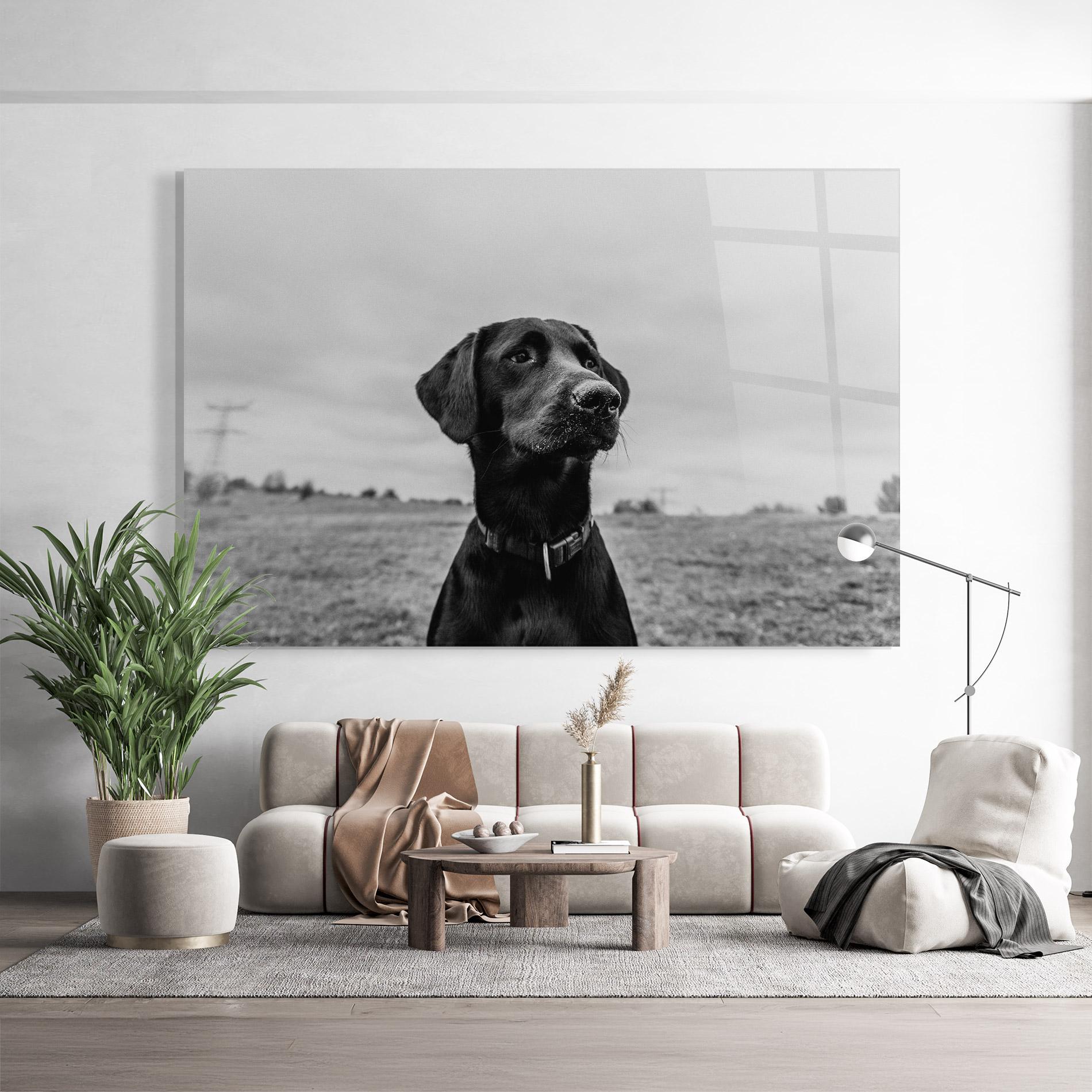 Üvegkép Black Dog mockup 9