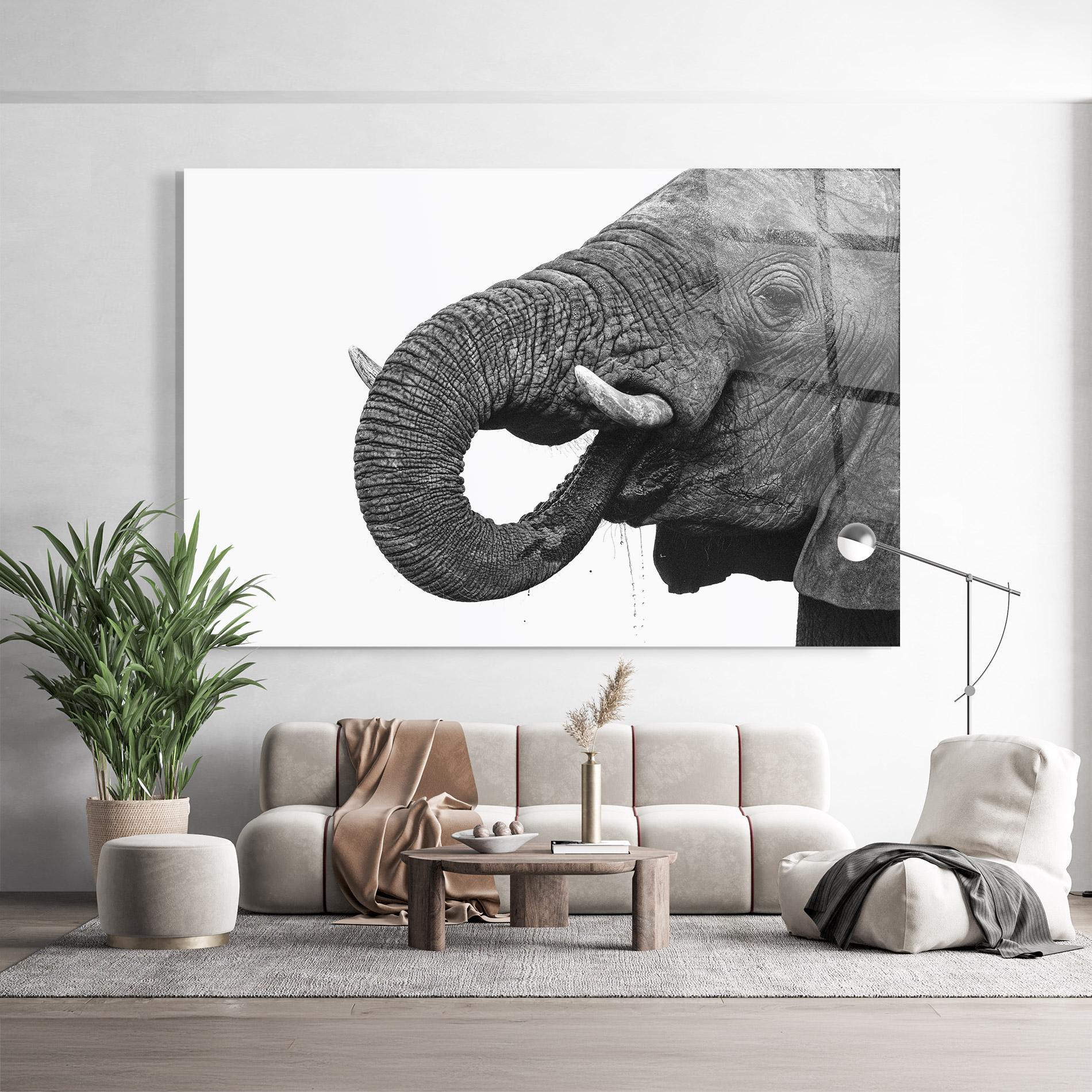 Üvegkép Elephant Drinking mockup 9