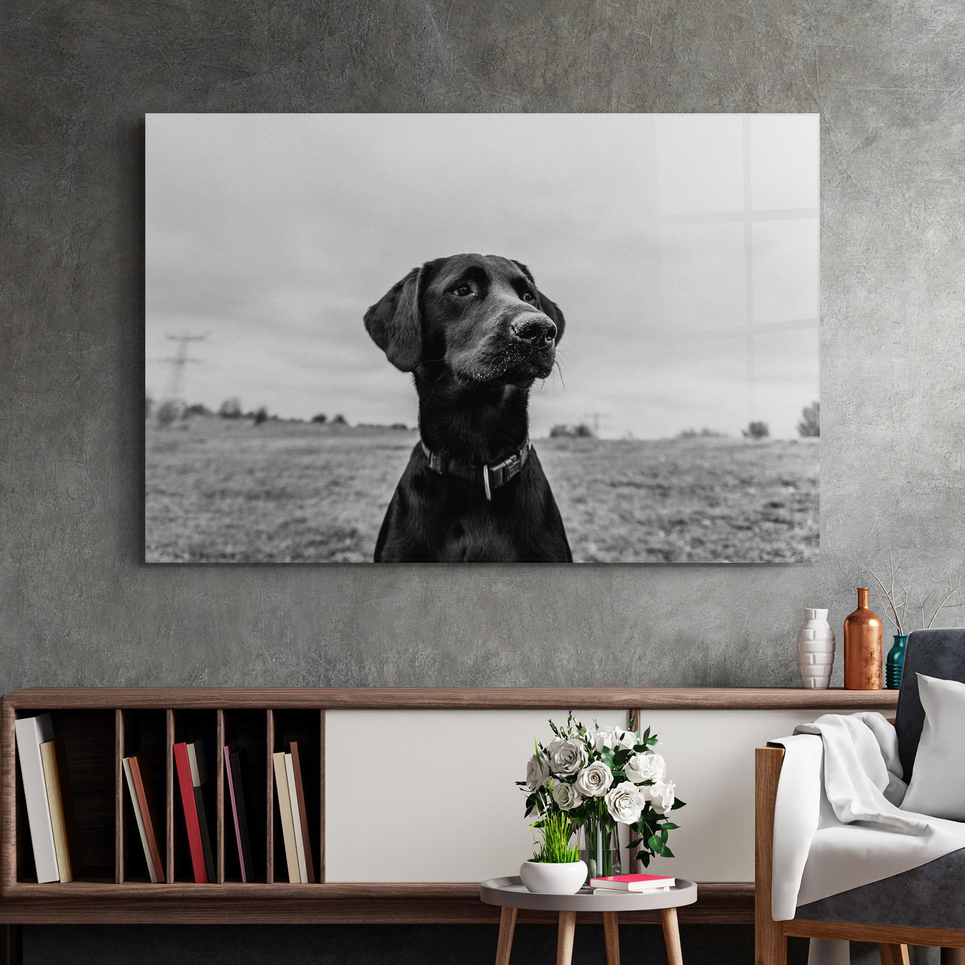 Üvegkép Black Dog mockup 2