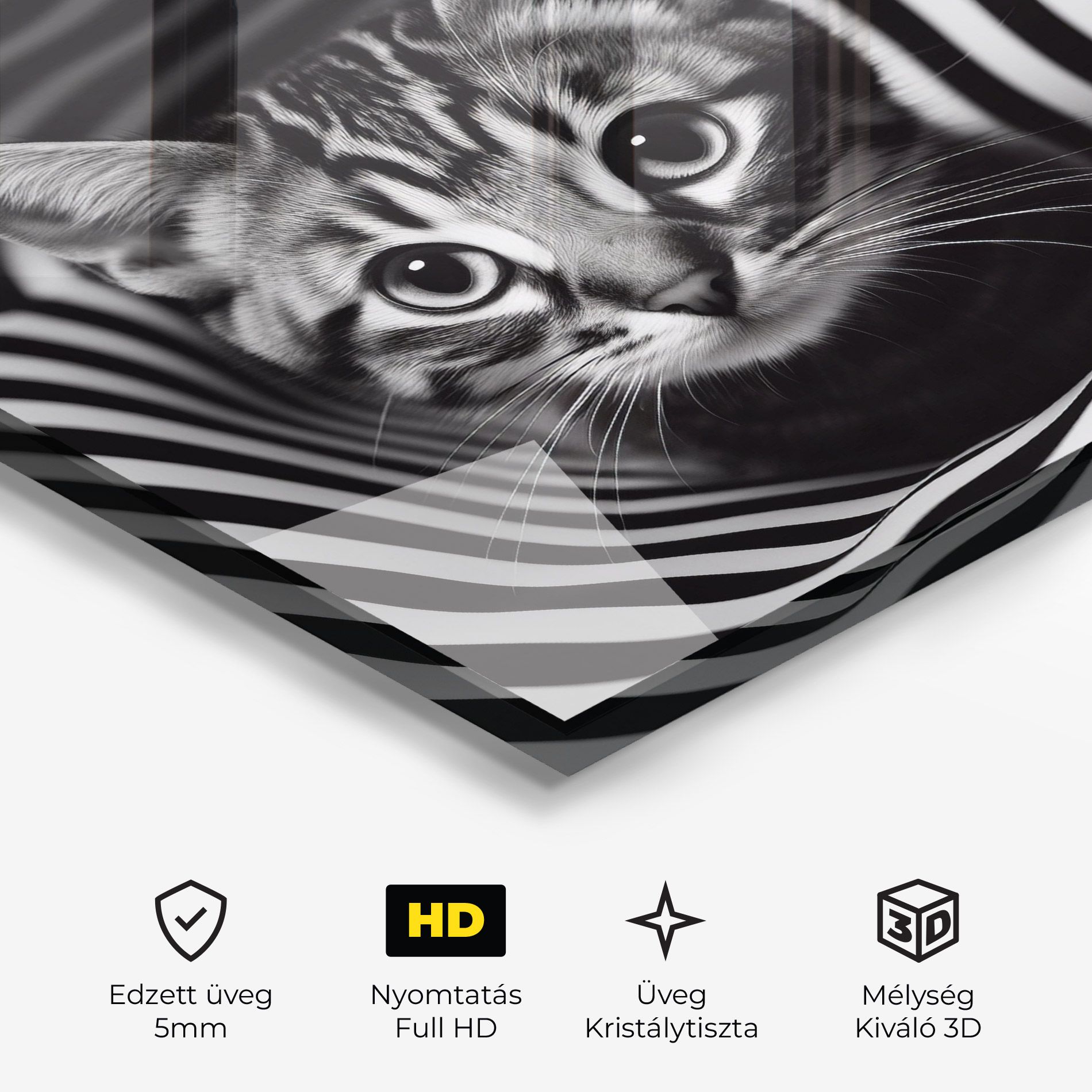 Closeup Cat Portrait mockup 3