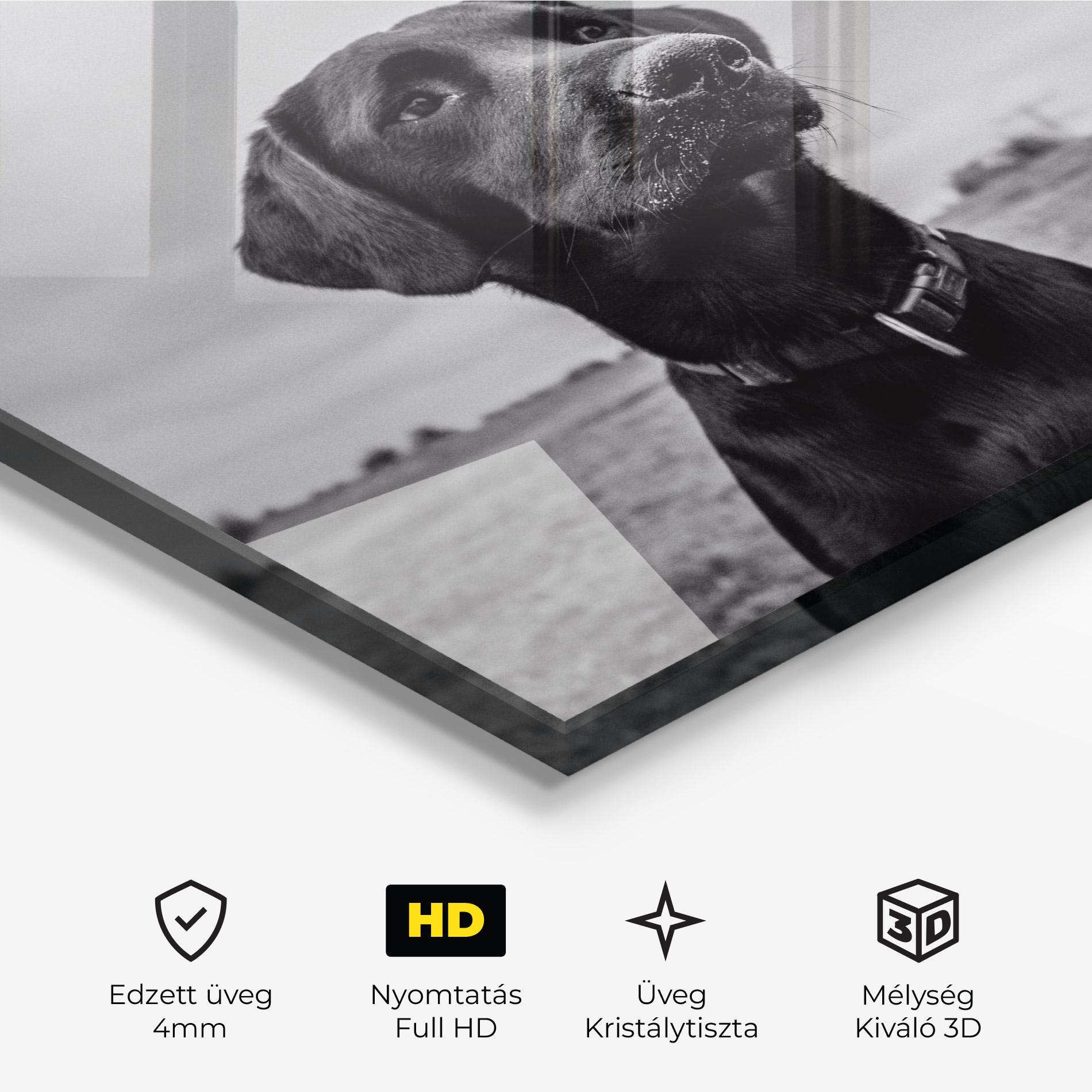 Üvegkép Black Dog mockup 3