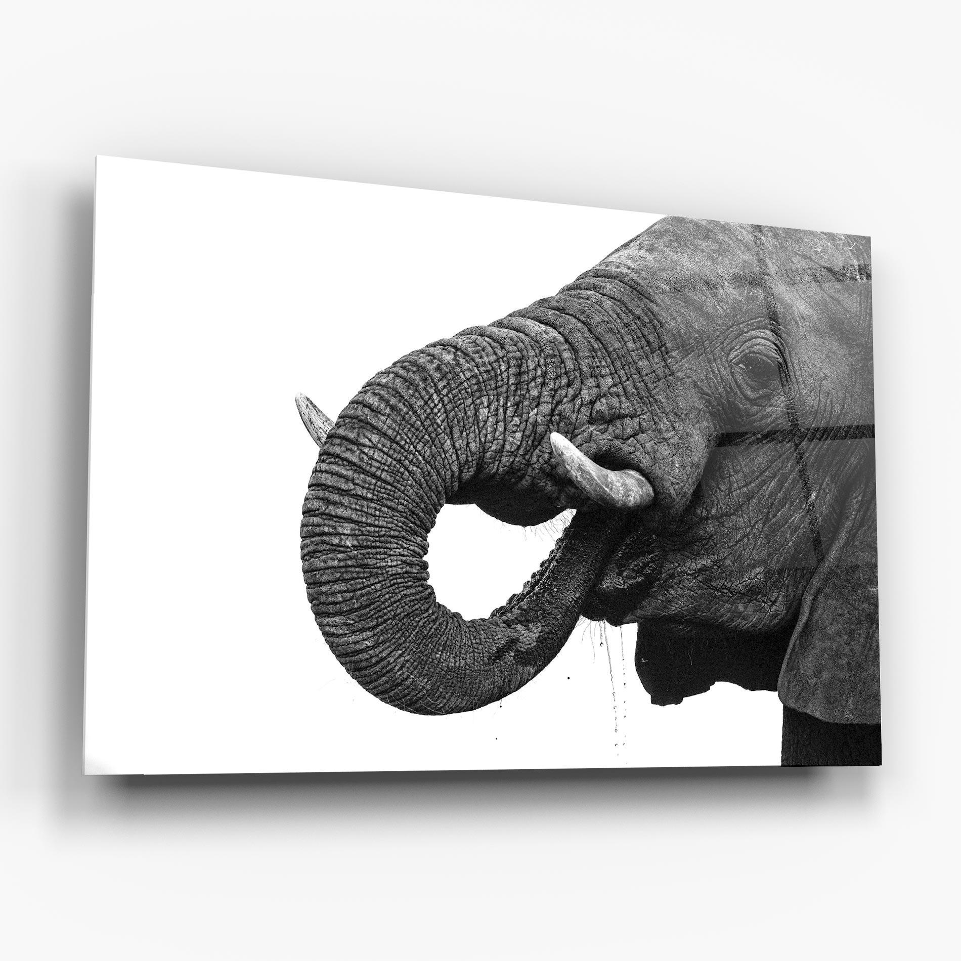 Üvegkép Elephant Drinking mockup 6