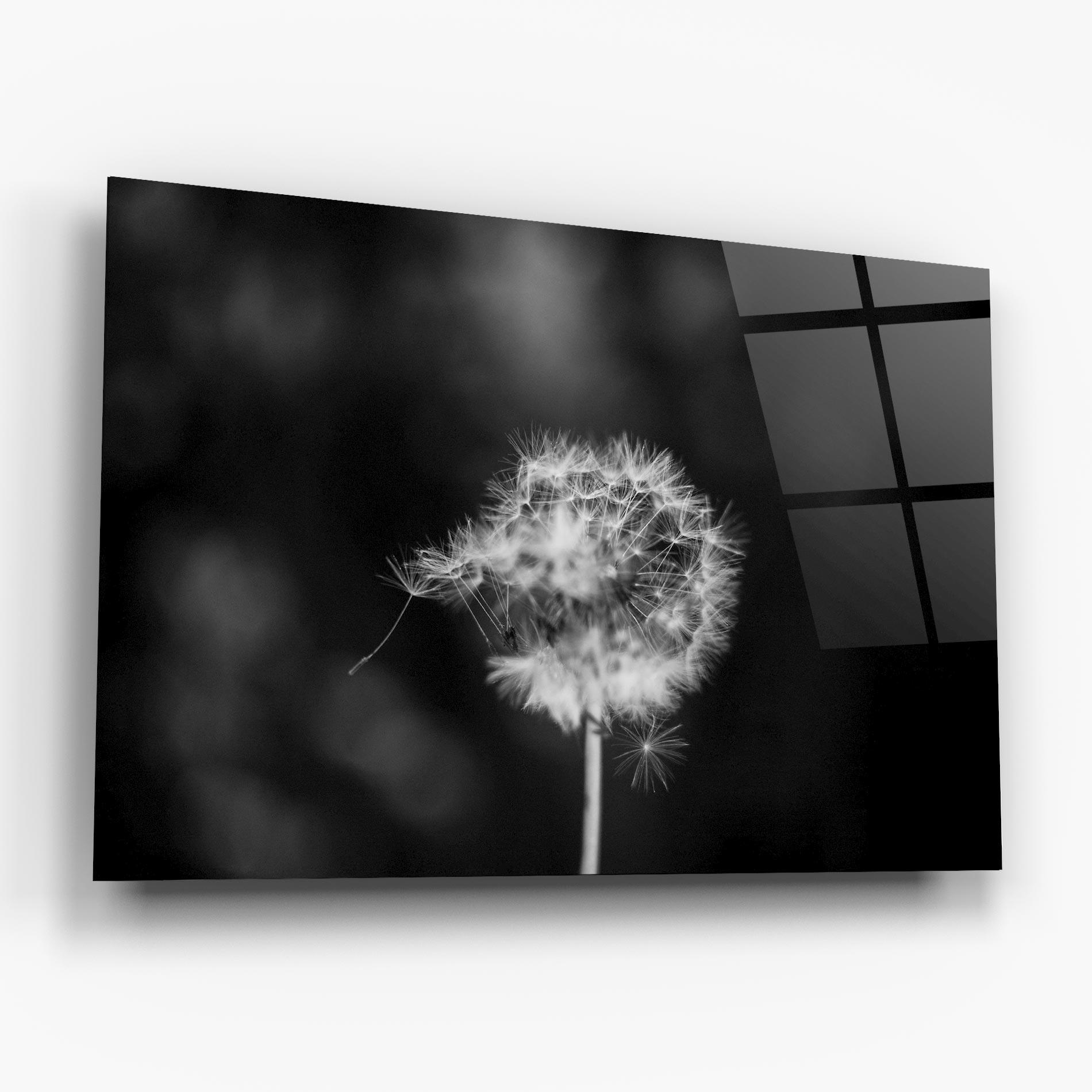 Üvegkép Grey Dandelion mockup 6