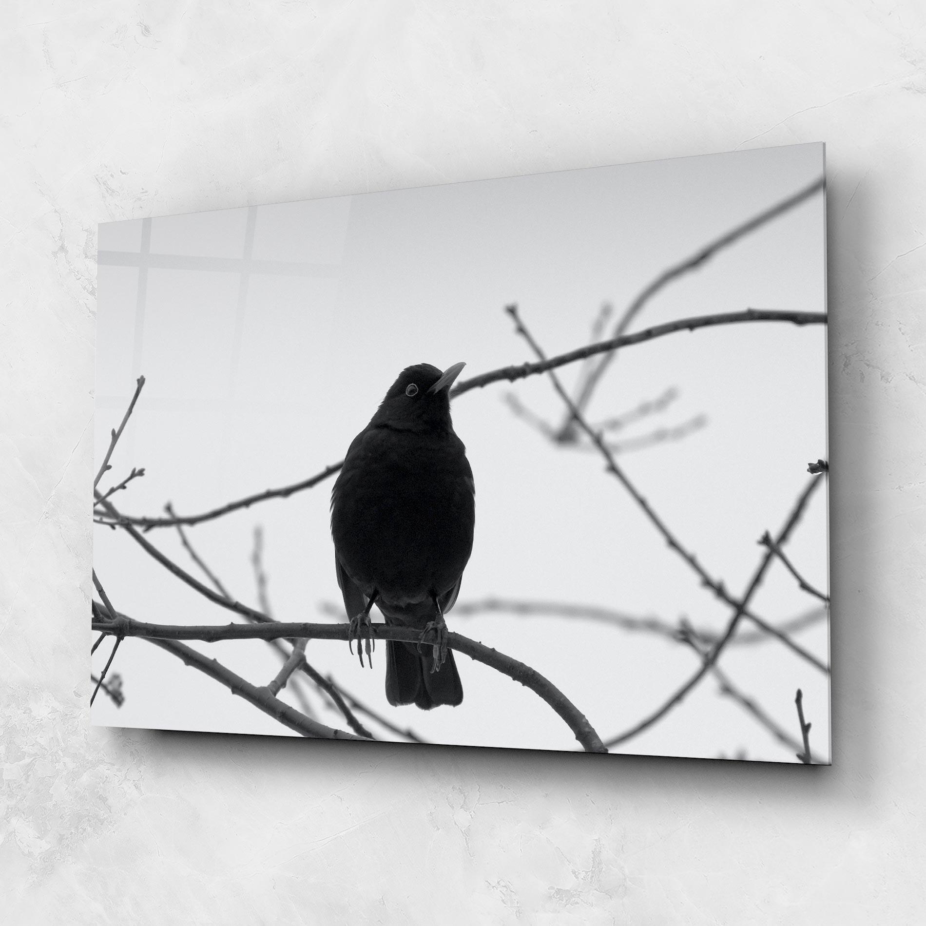 Üvegkép Black Bird mockup 1
