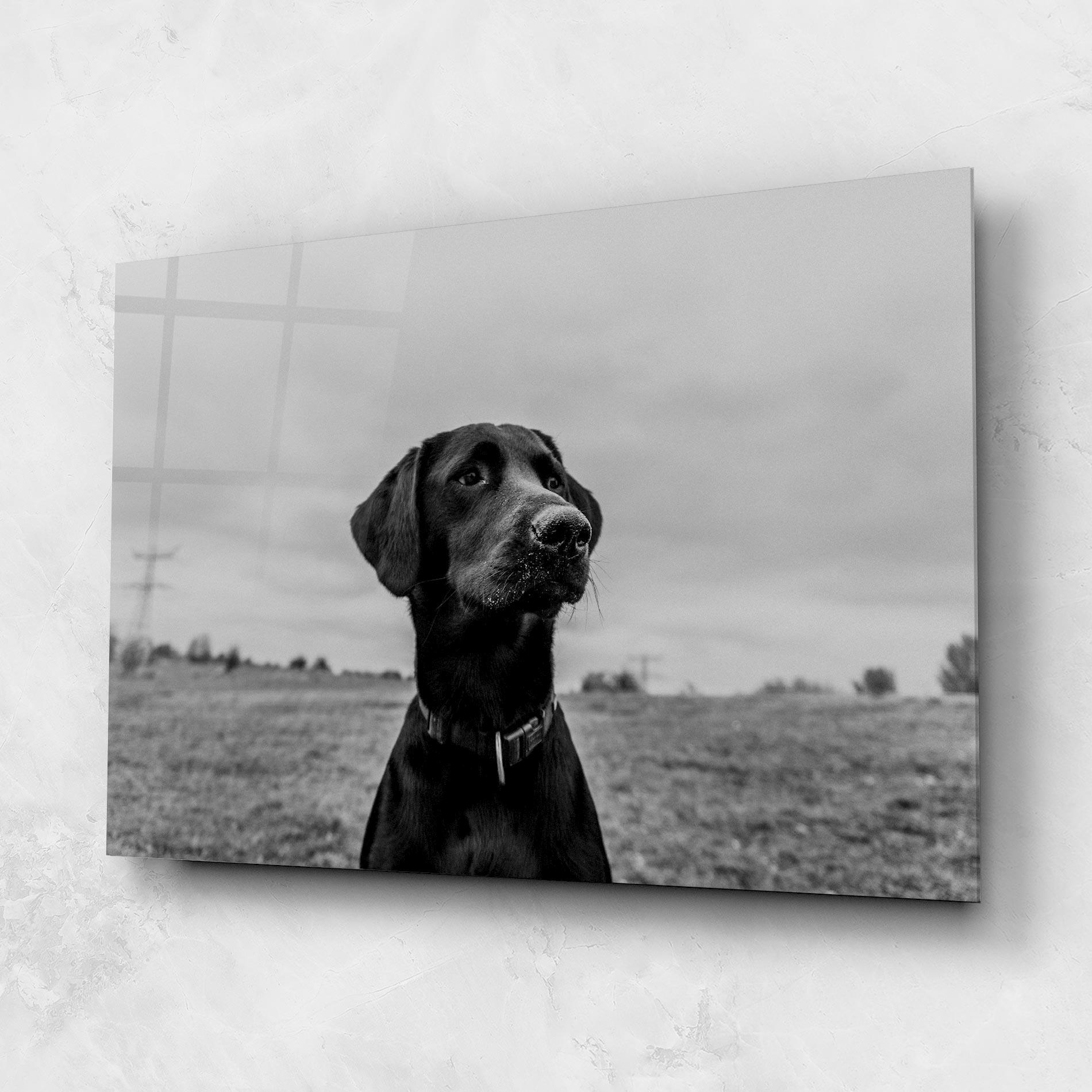 Üvegkép Black Dog mockup 1