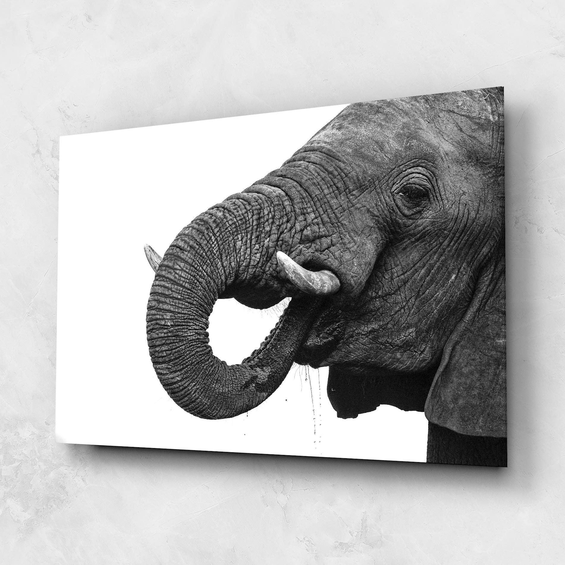 Üvegkép Elephant Drinking mockup 1