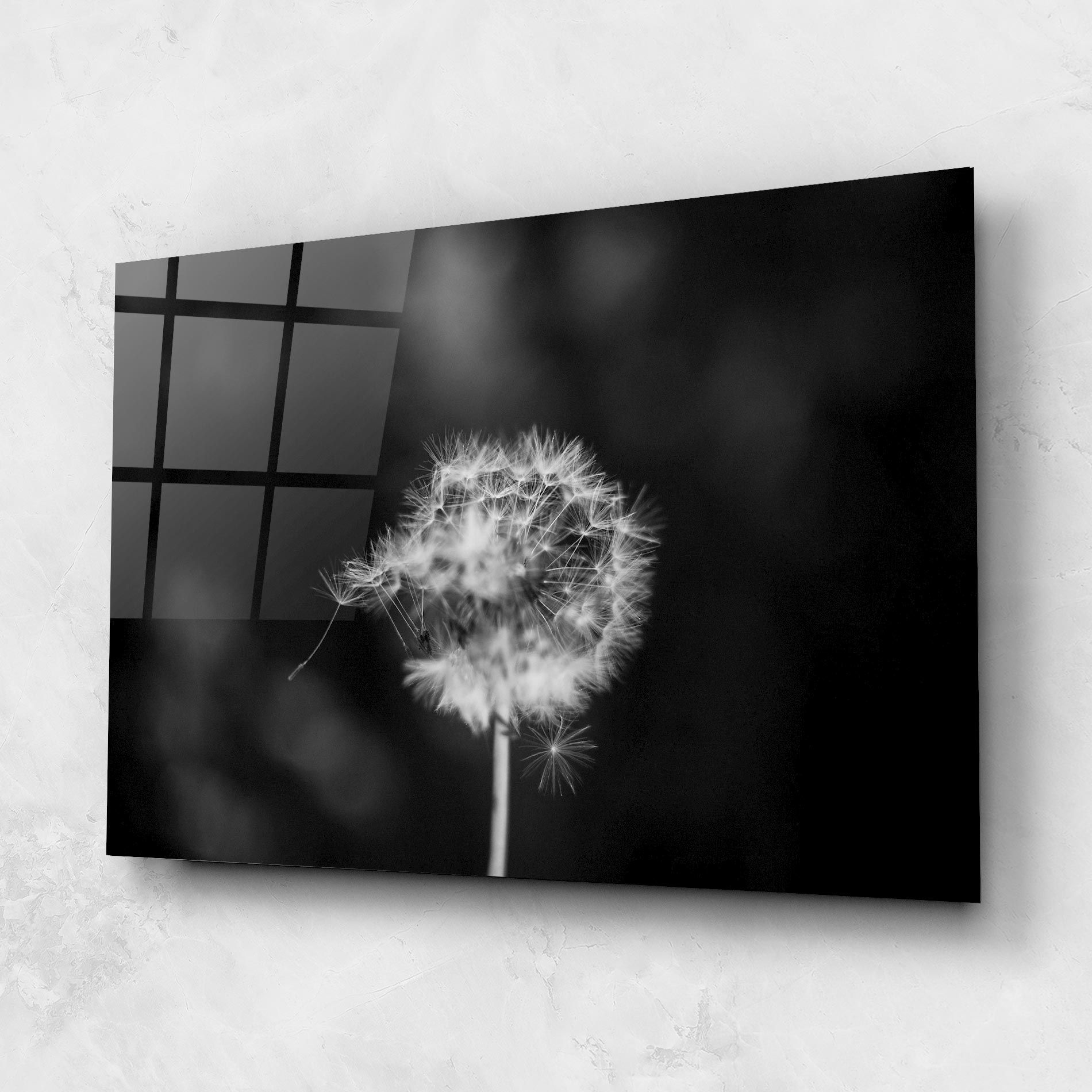 Grey Dandelion mockup 1