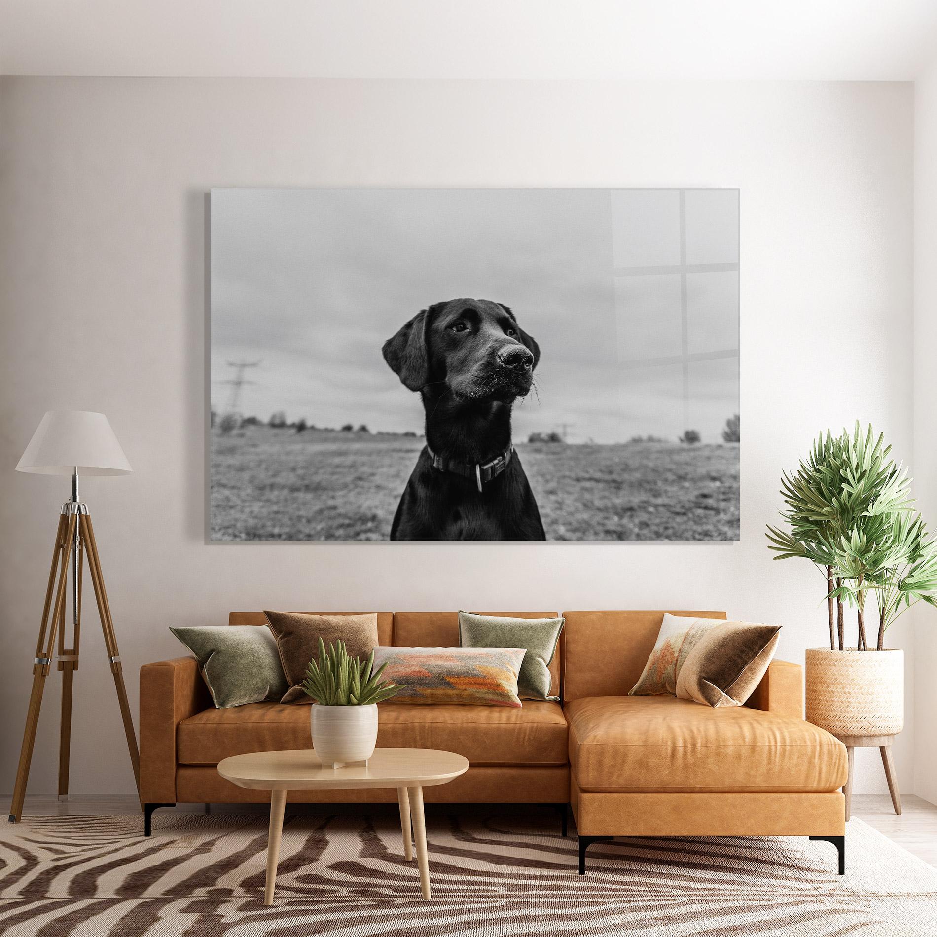 Üvegkép Black Dog mockup 7