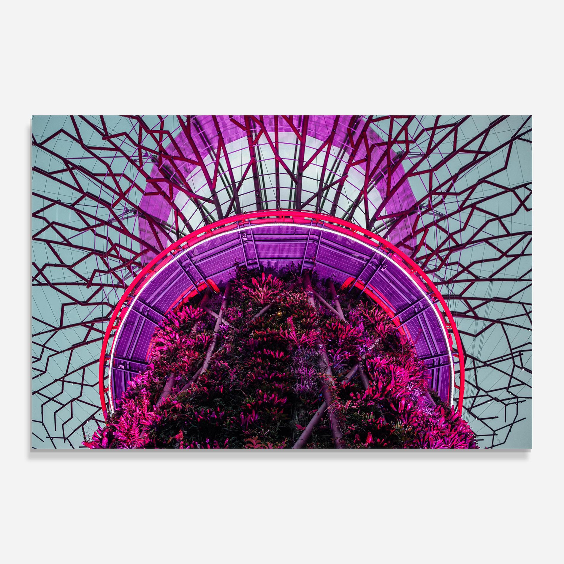 Üvegkép Supertree Grove mockup 0