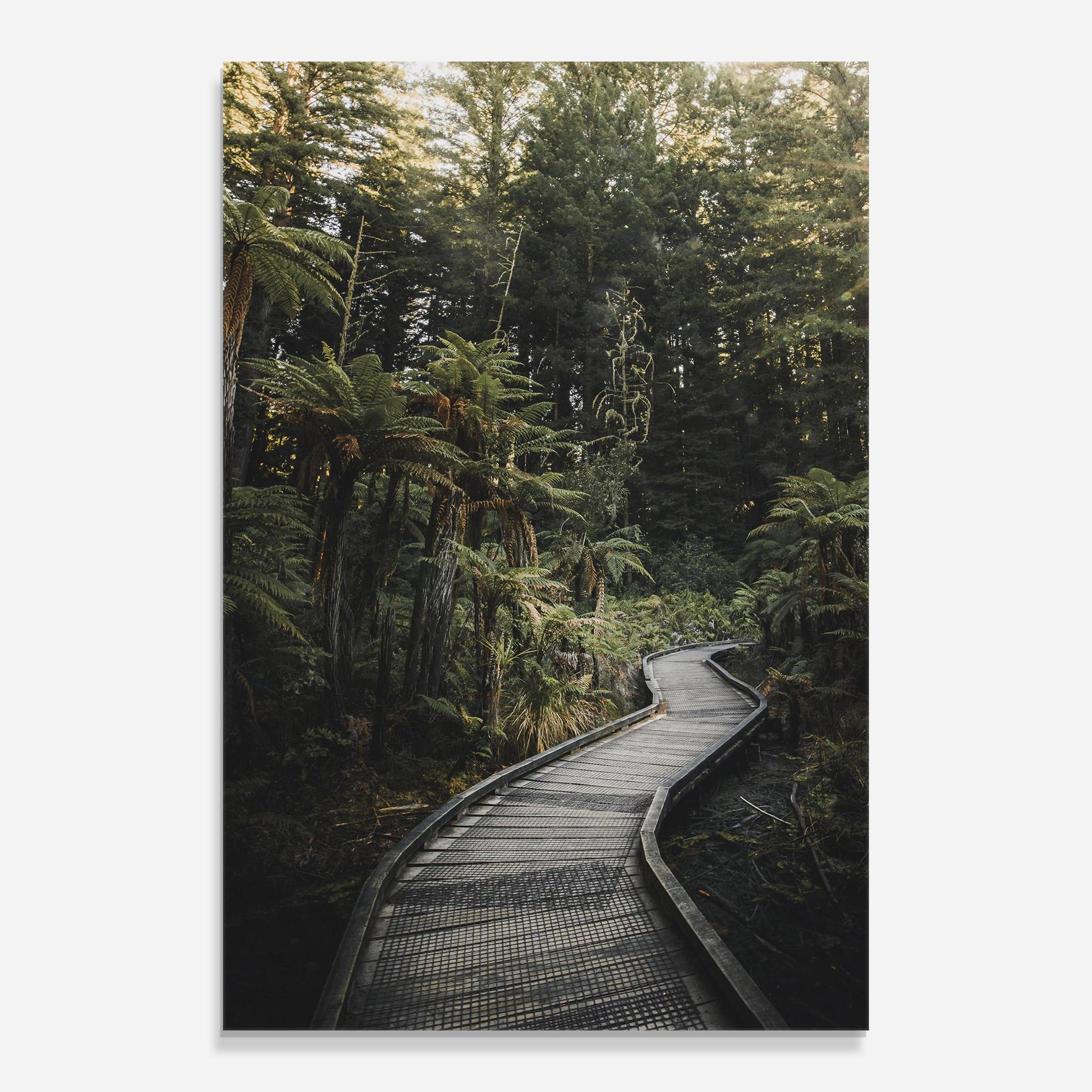 Üvegkép Forest Path View mockup 0