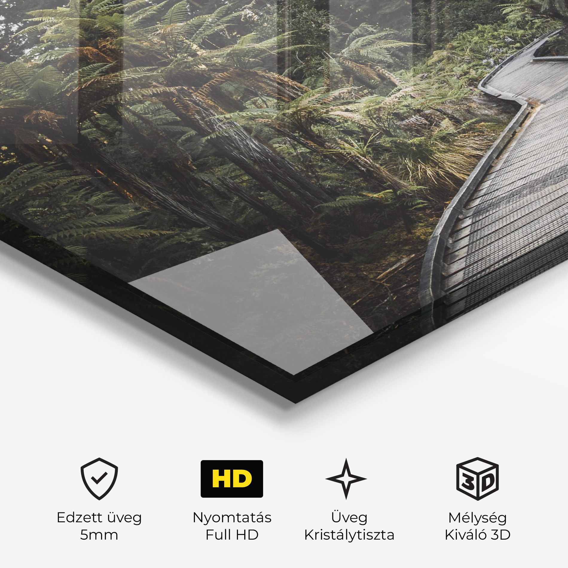 Forest Path View mockup 3