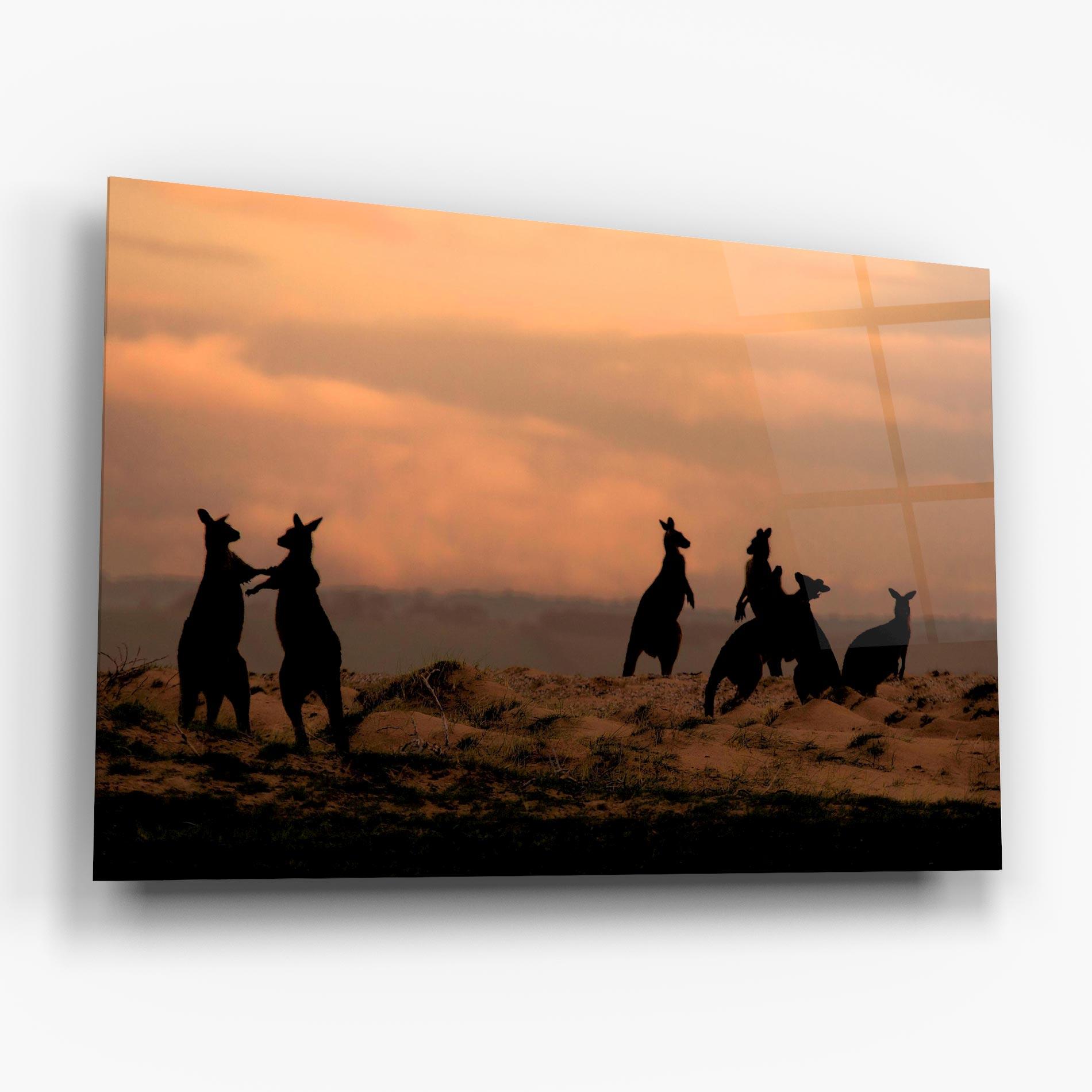 Üvegkép Kangaroos Playing mockup 6