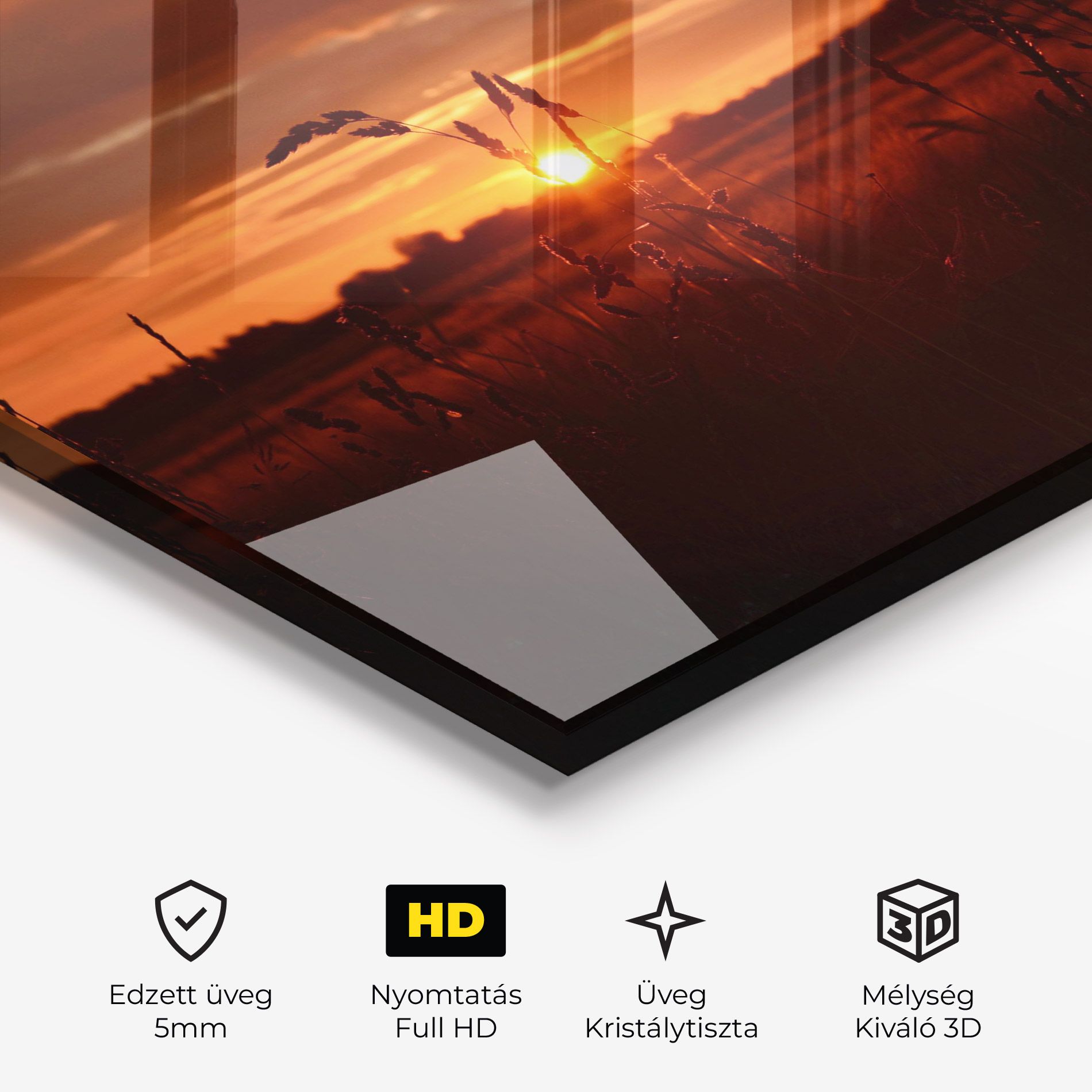 Field Shilouette mockup 3