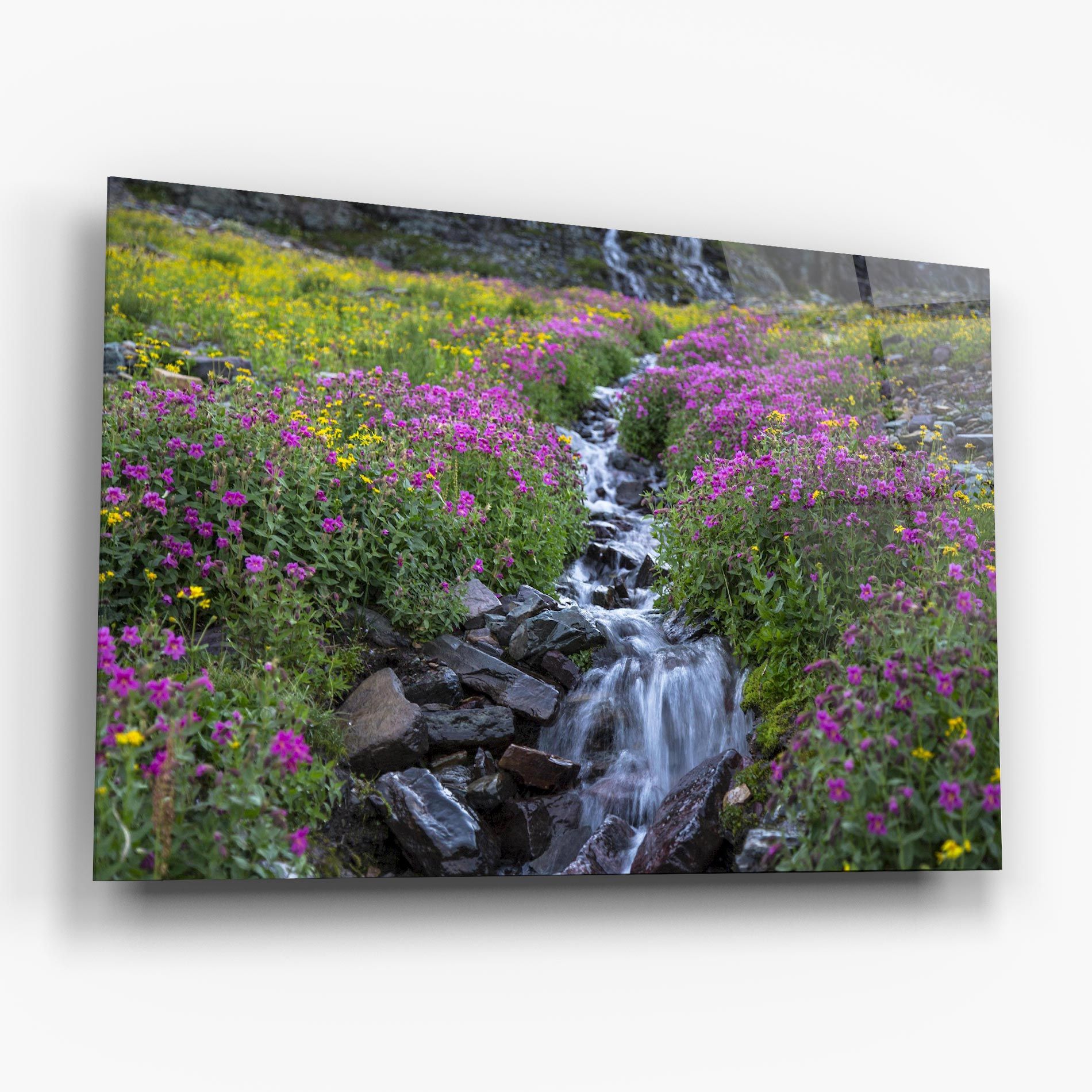 Purple Field Waterfall mockup 6