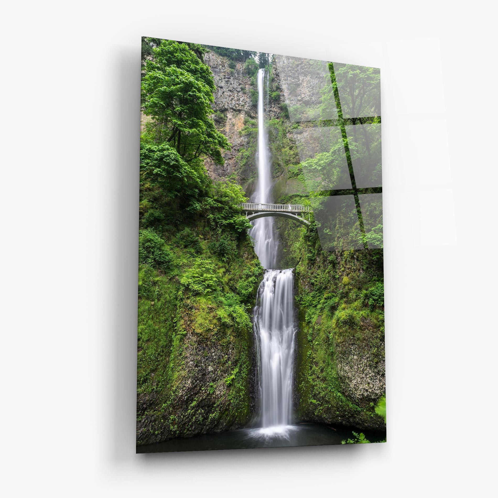 Green Leaves Bridge View mockup 6