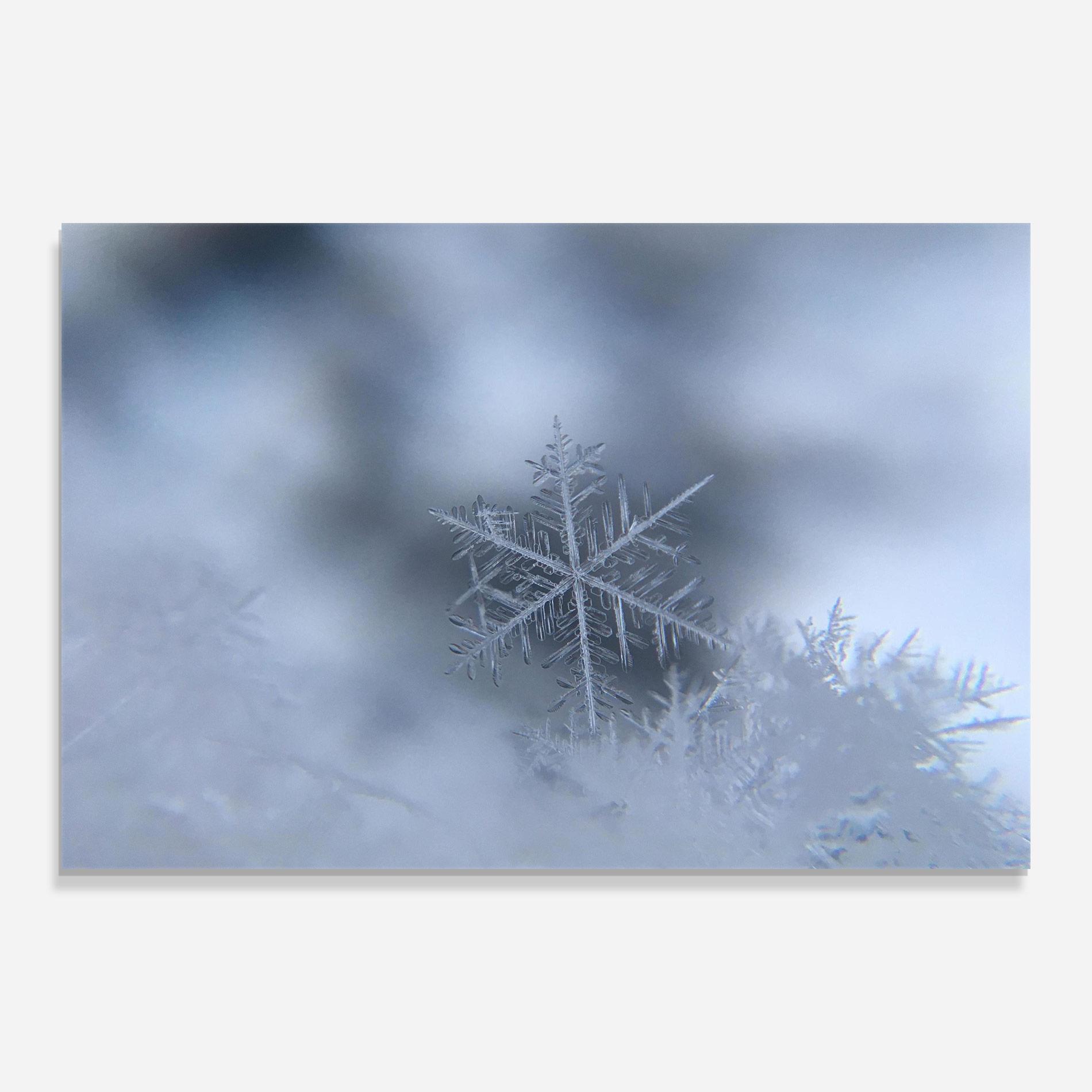 Üvegkép Pretty Snowflake mockup 0