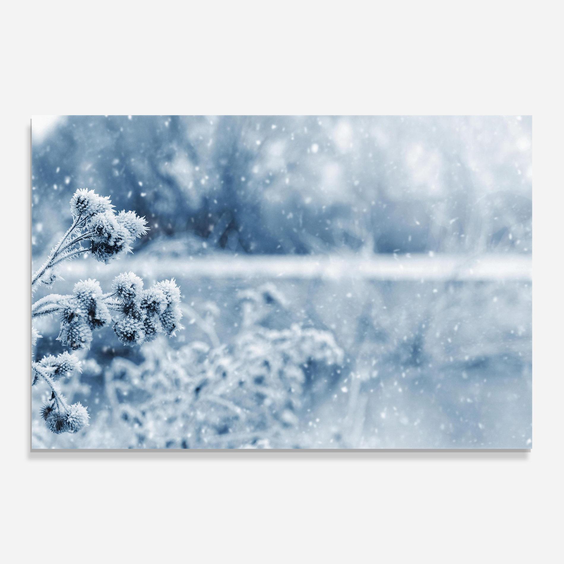 Üvegkép Pretty Winter Plants mockup 0