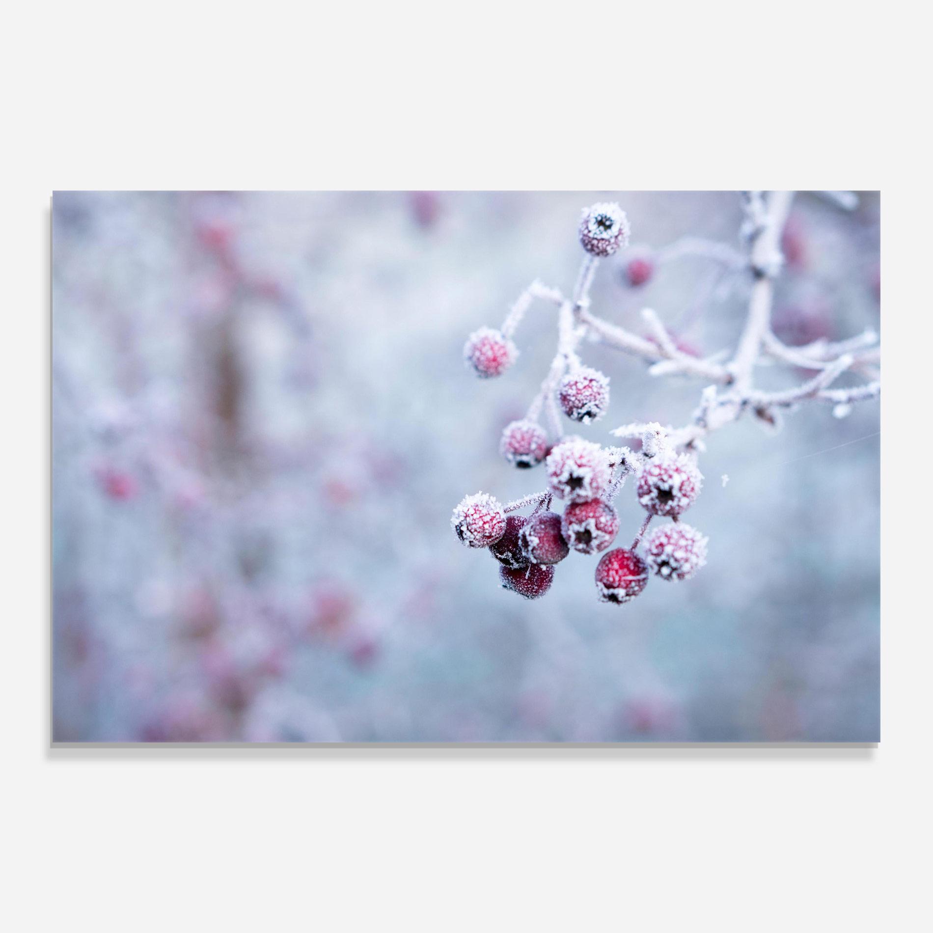 Üvegkép Red Winter Fruits mockup 0
