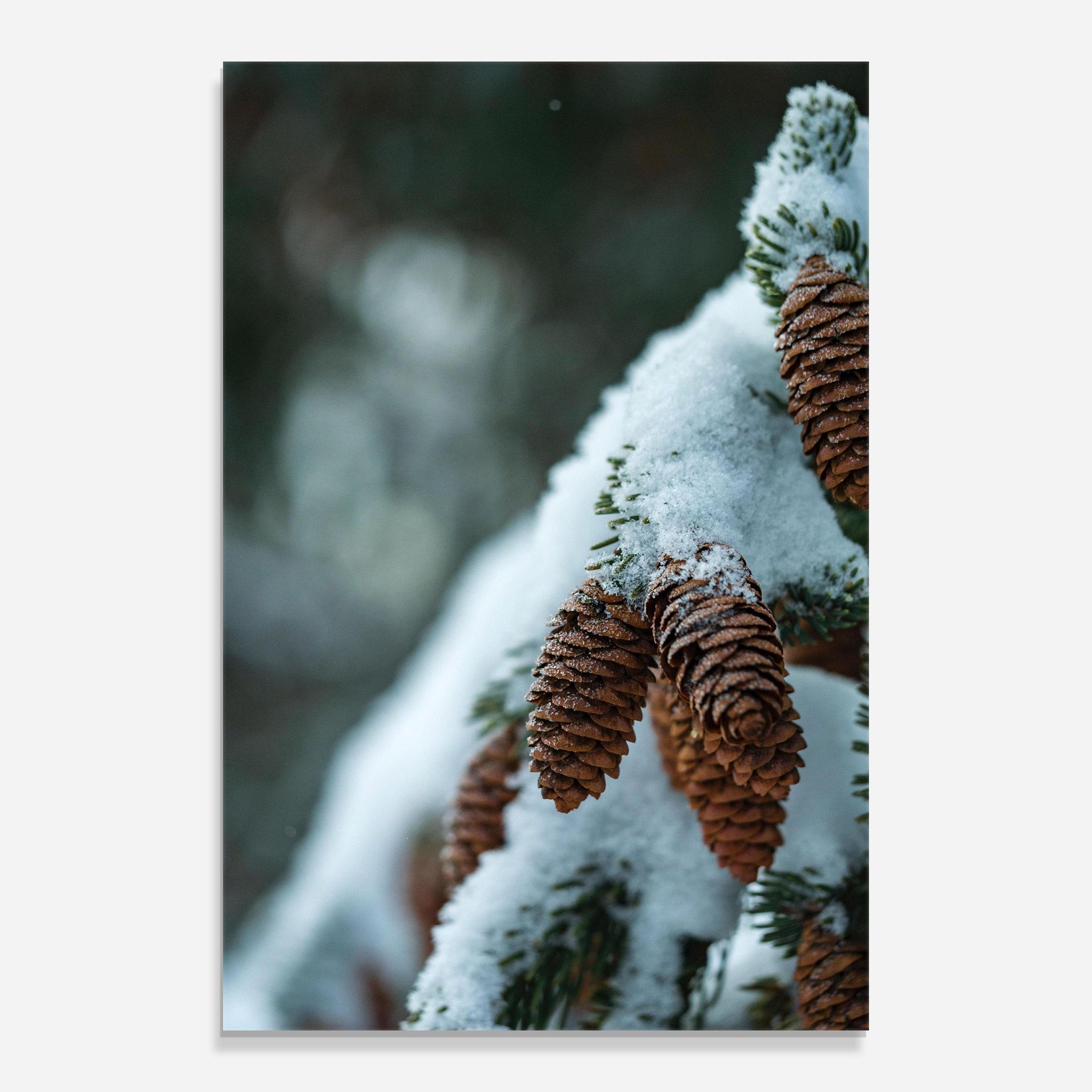 Pretty Snow Cones mockup 0