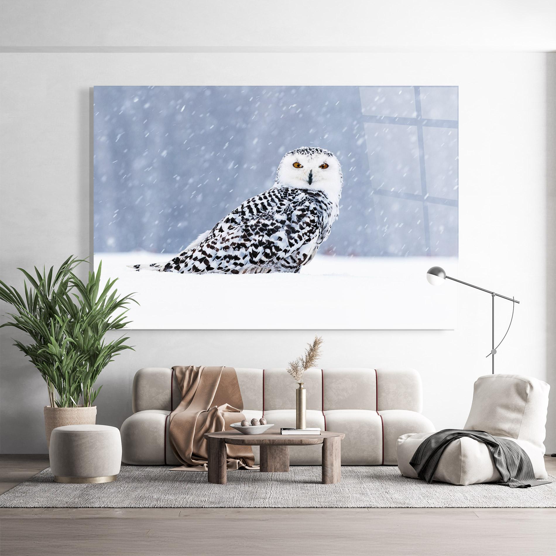 Üvegkép Snow Owl mockup 9
