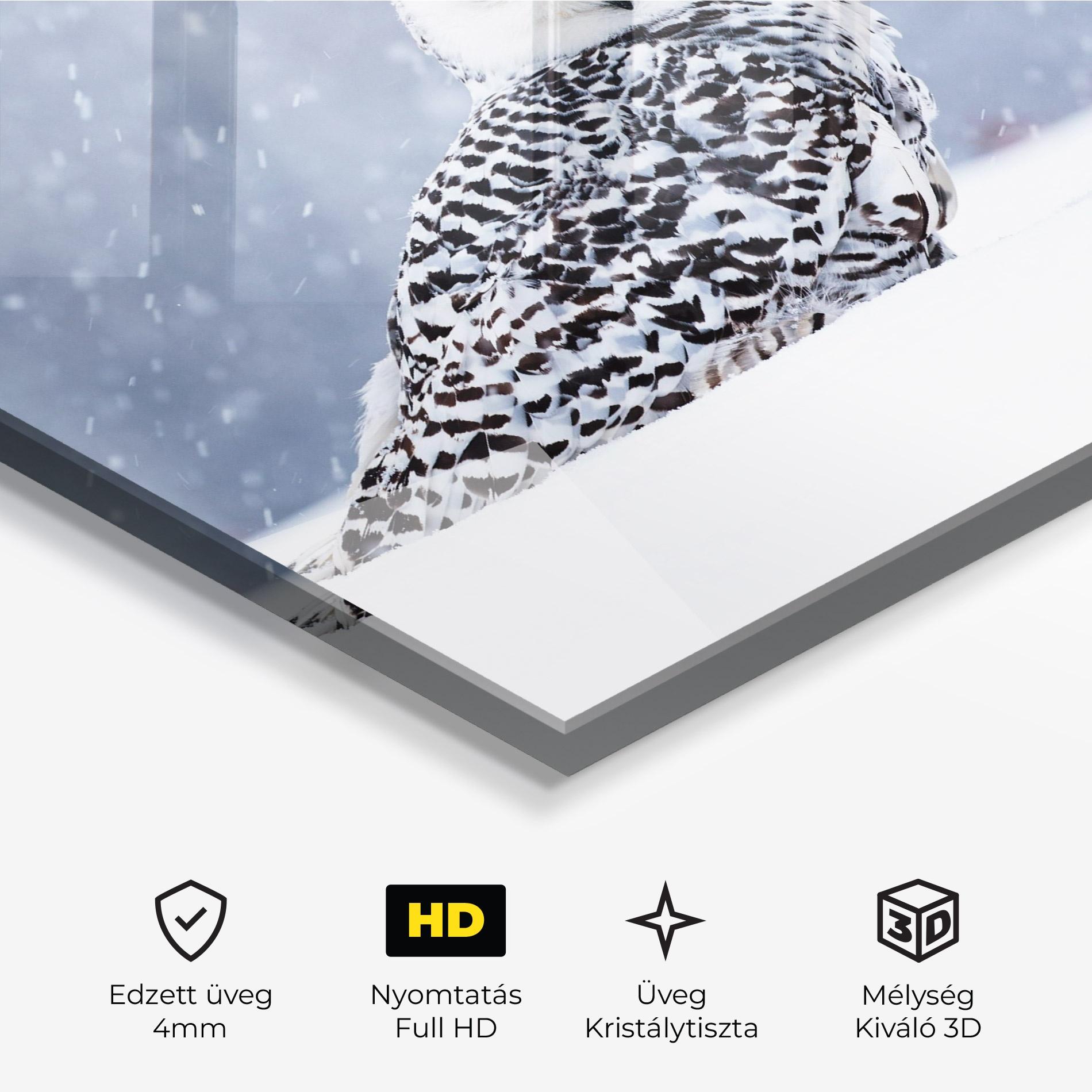 Üvegkép Snow Owl mockup 3
