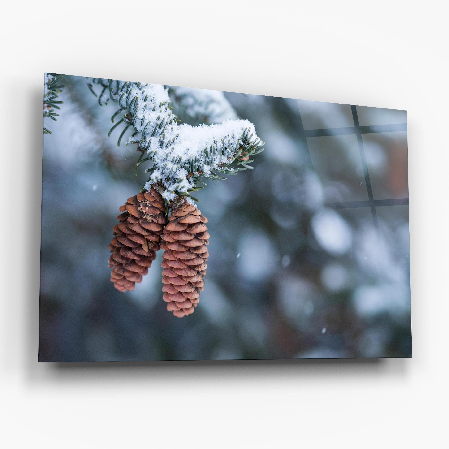 Winter Cones mockup 6