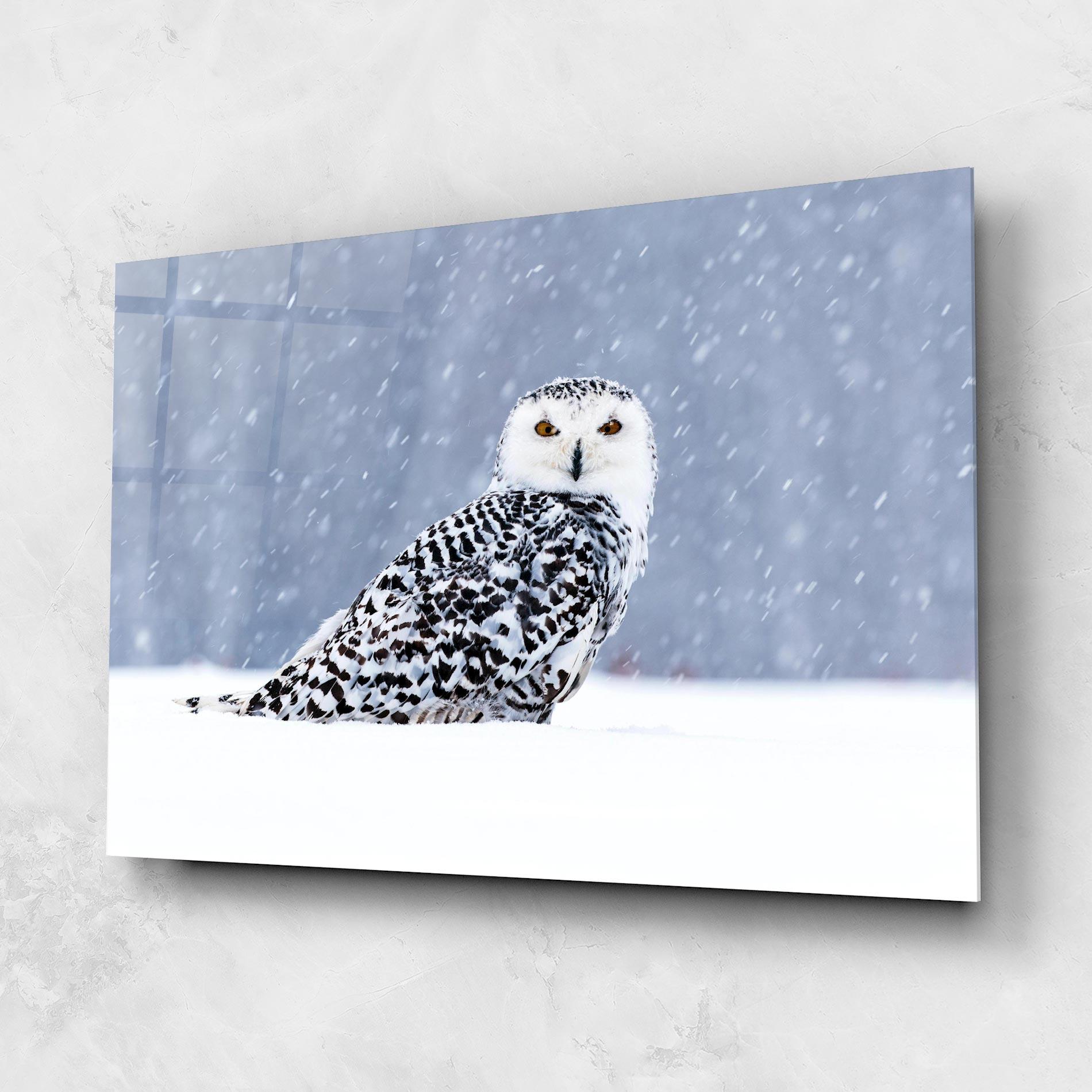 Üvegkép Snow Owl mockup 1