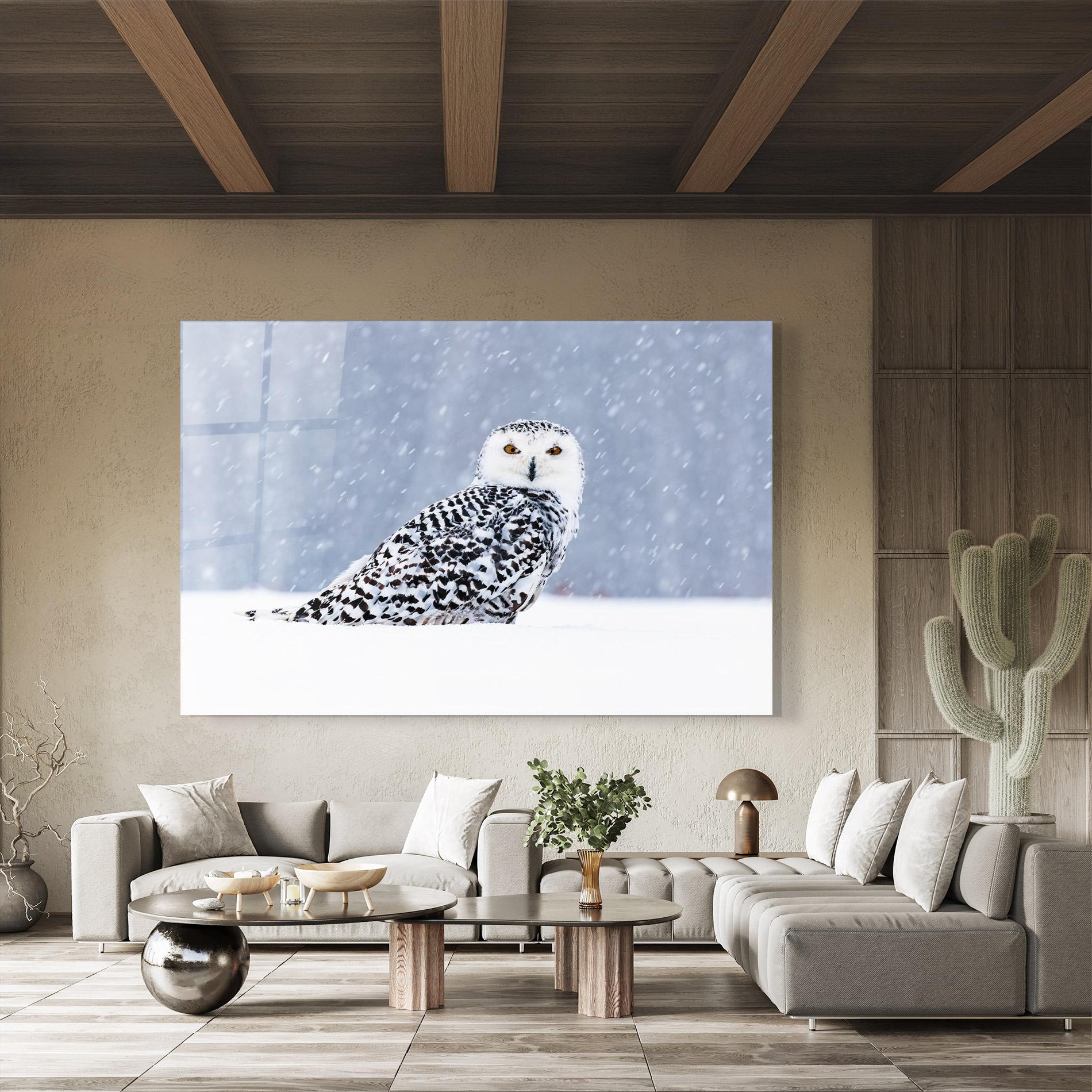Üvegkép Snow Owl mockup 8